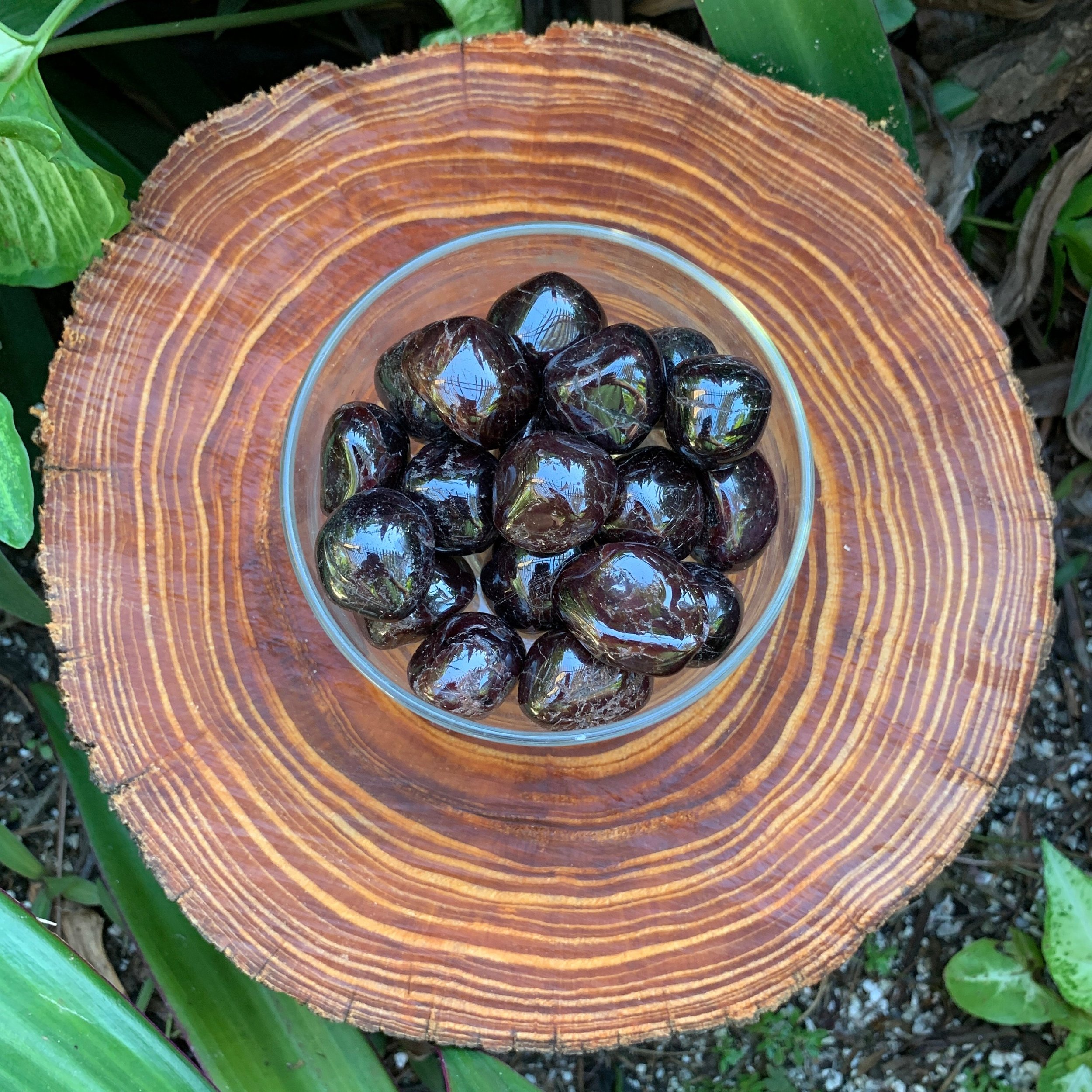 https://i.etsystatic.com/12652071/r/il/b466dd/3458794090/il_fullxfull.3458794090_p6on.jpg