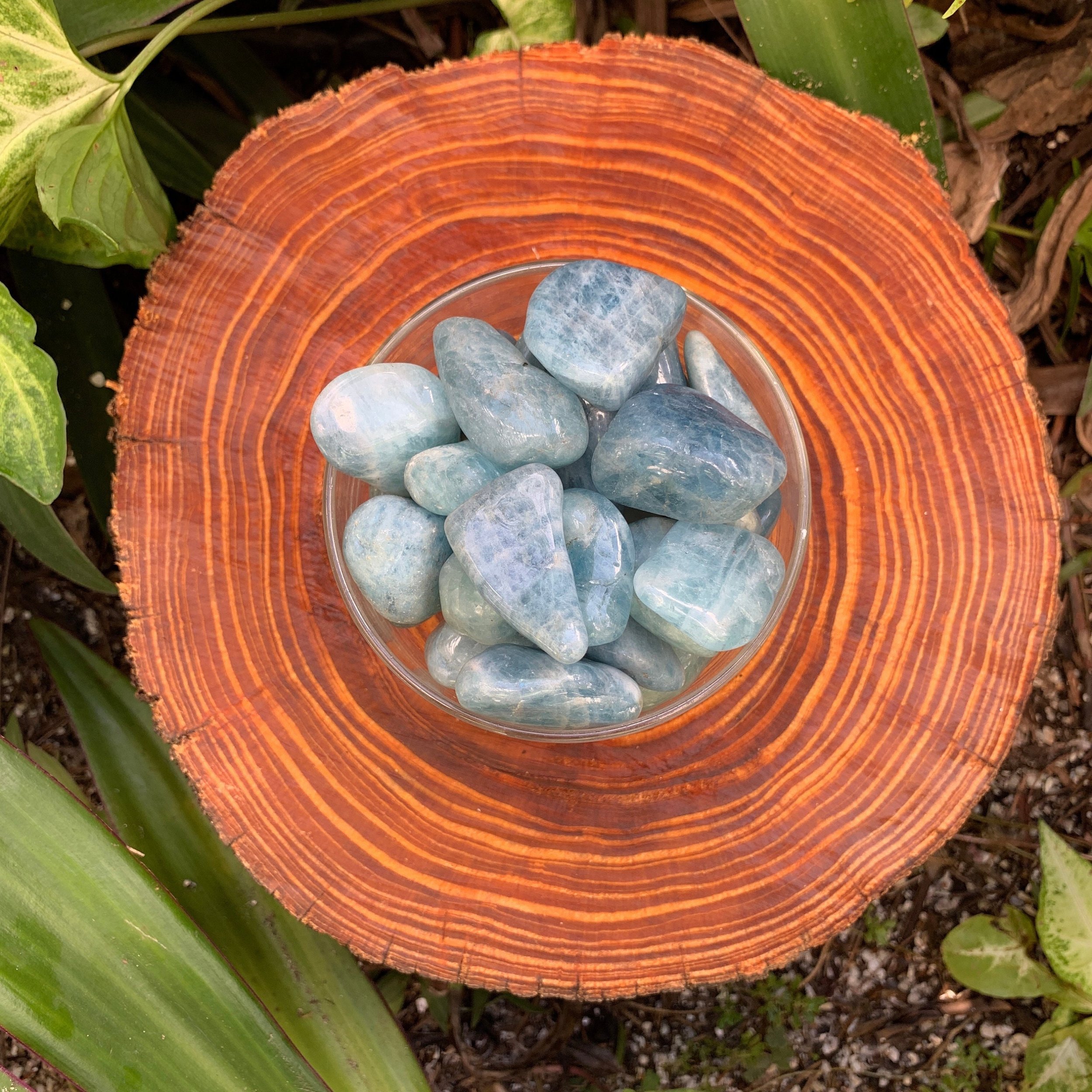 https://i.etsystatic.com/12652071/r/il/cbb554/3506411481/il_fullxfull.3506411481_7w3r.jpg