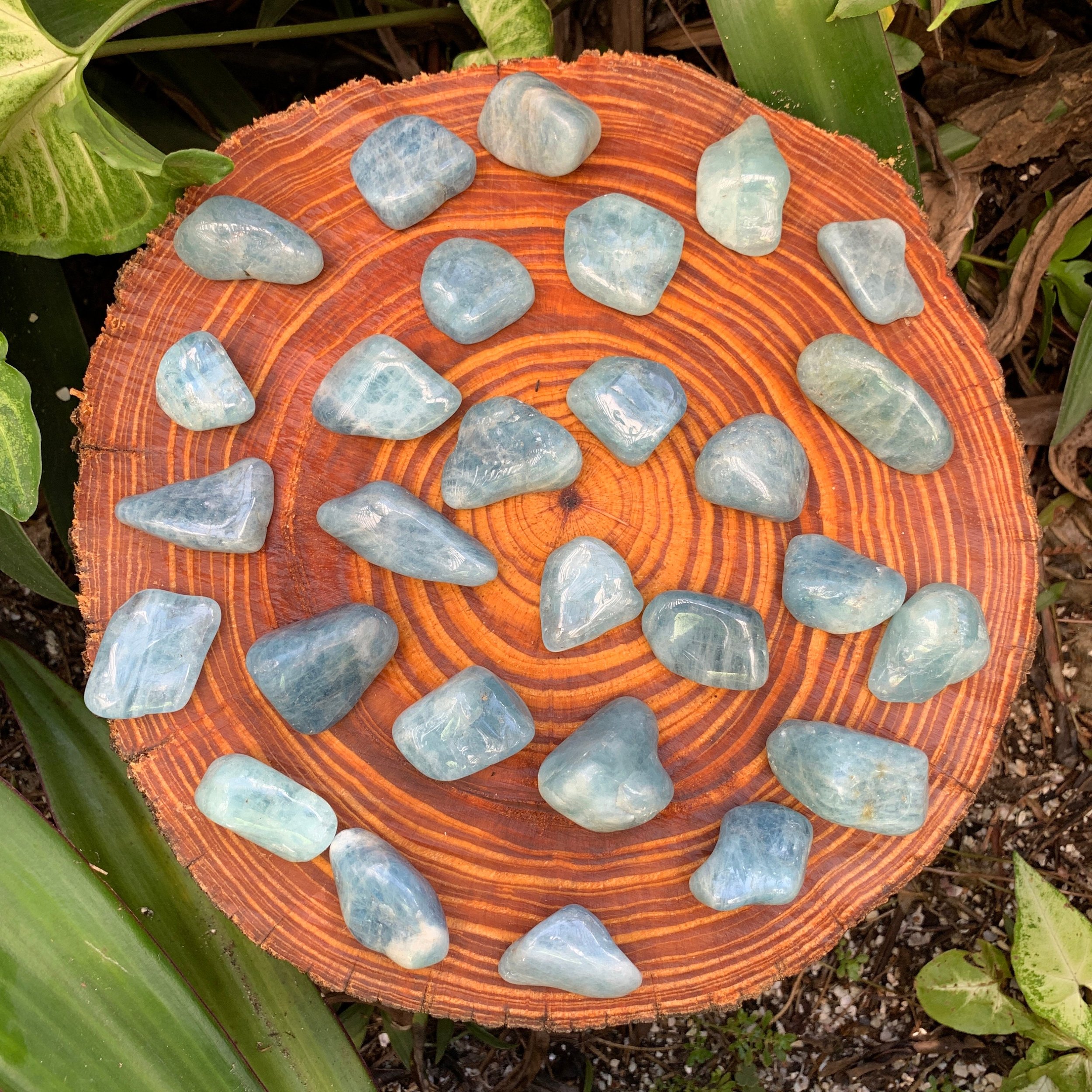 https://i.etsystatic.com/12652071/r/il/3d16e1/3458736596/il_fullxfull.3458736596_hdiy.jpg