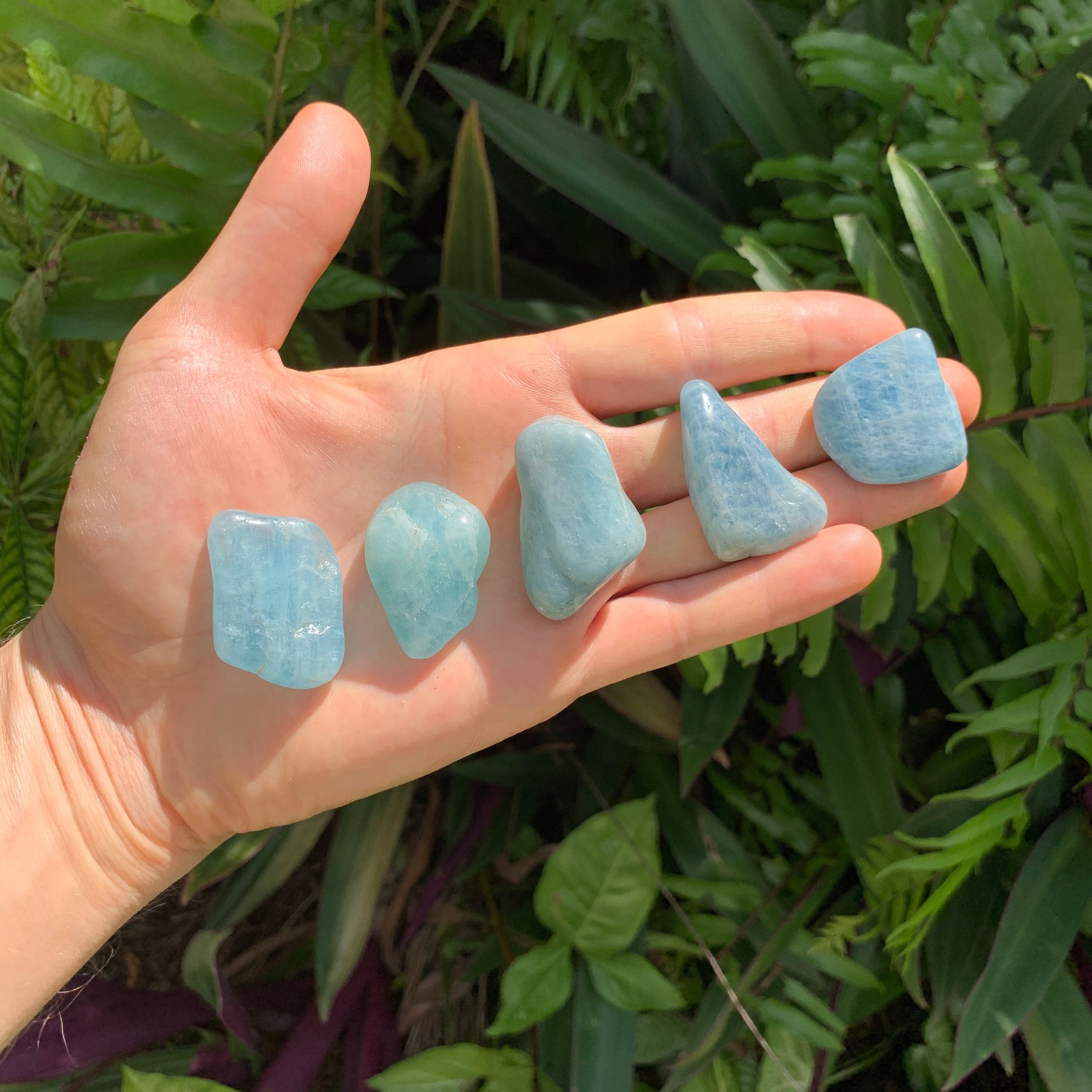 https://i.etsystatic.com/12652071/r/il/0b7158/3458736694/il_fullxfull.3458736694_1712.jpg