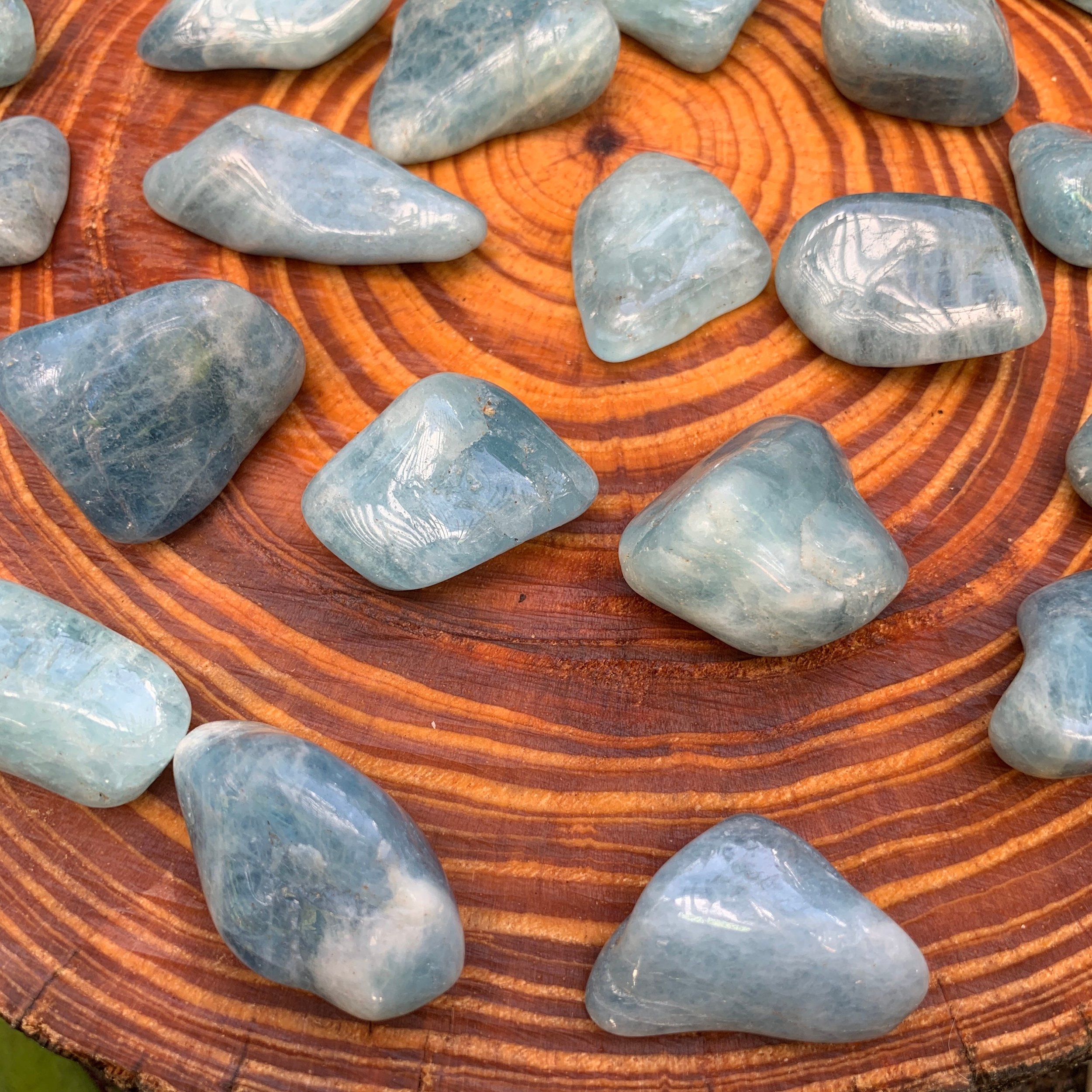 https://i.etsystatic.com/12652071/r/il/701068/3458736580/il_fullxfull.3458736580_rzrr.jpg