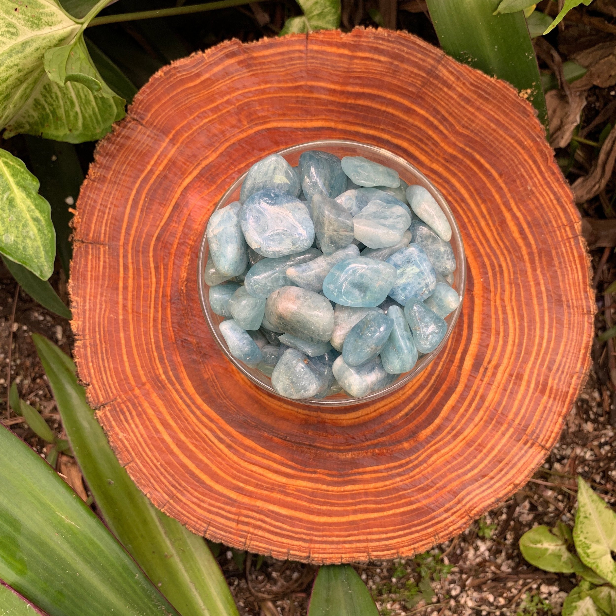 Aquamarine Tumbled Stones (0.75-1.25 Inch - AAA Grade - 40-64 Pieces Per Pound) Ethically Sourced from Brazil - Beyond Bohemian