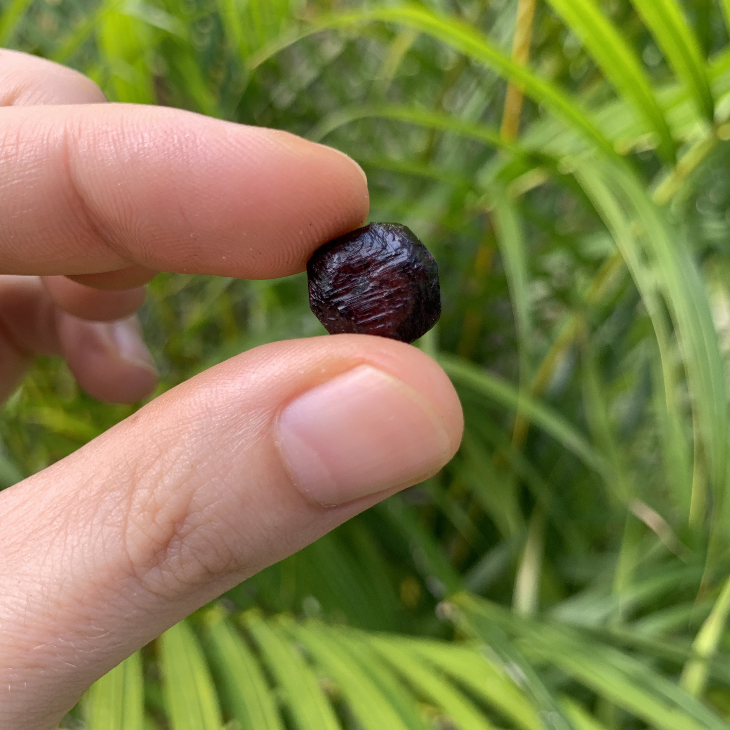 Garnet Raw Crystals (0.25-0.75 Inch - AA Grade - 40-80 Pieces Per Pound) Ethically Sourced from Brazil - Beyond Bohemian