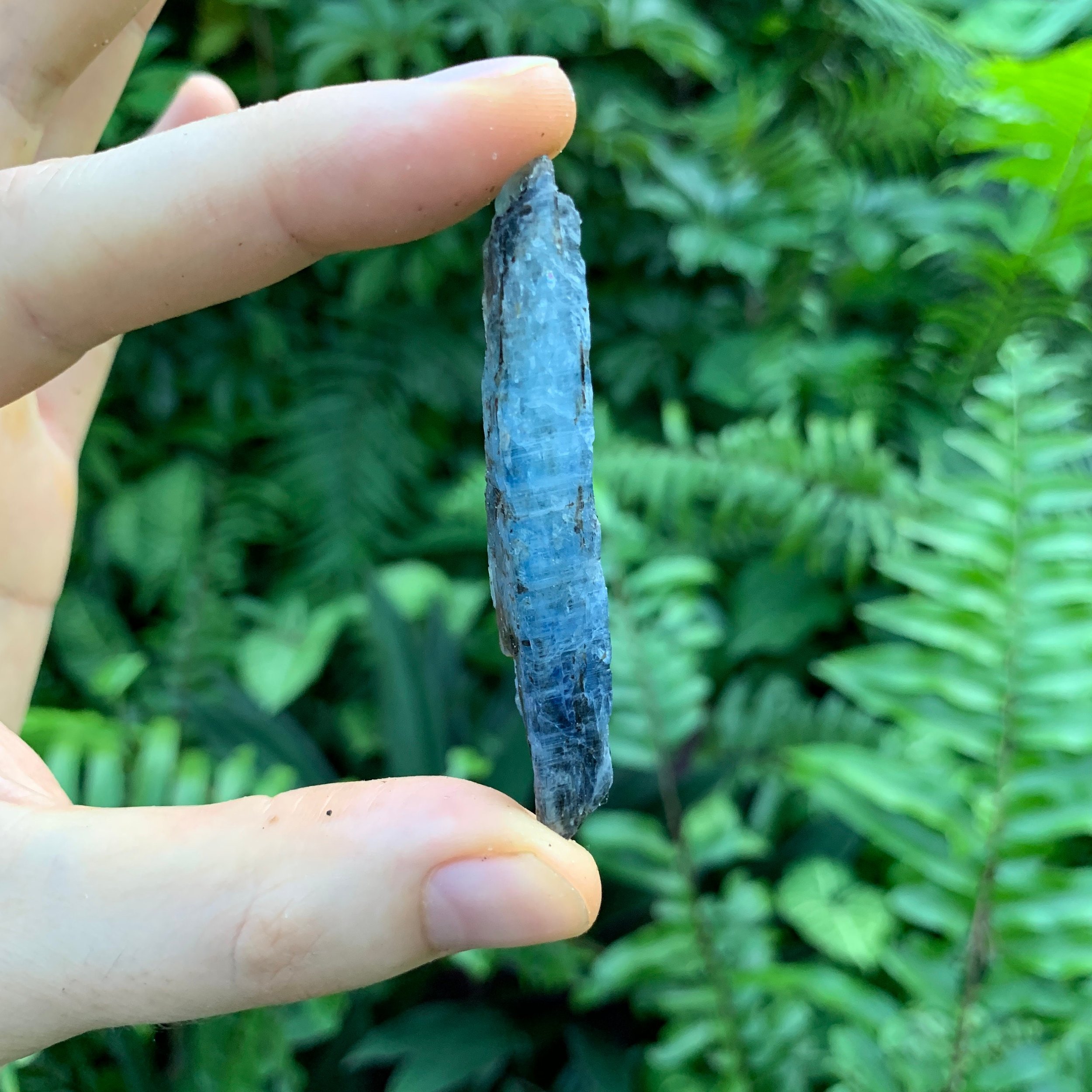 Blue Kyanite Raw Crystals (2-3 Inch - AA Grade - 24-40 Pieces Per Pound) Ethically Sourced from Zimbabwe - Beyond Bohemian