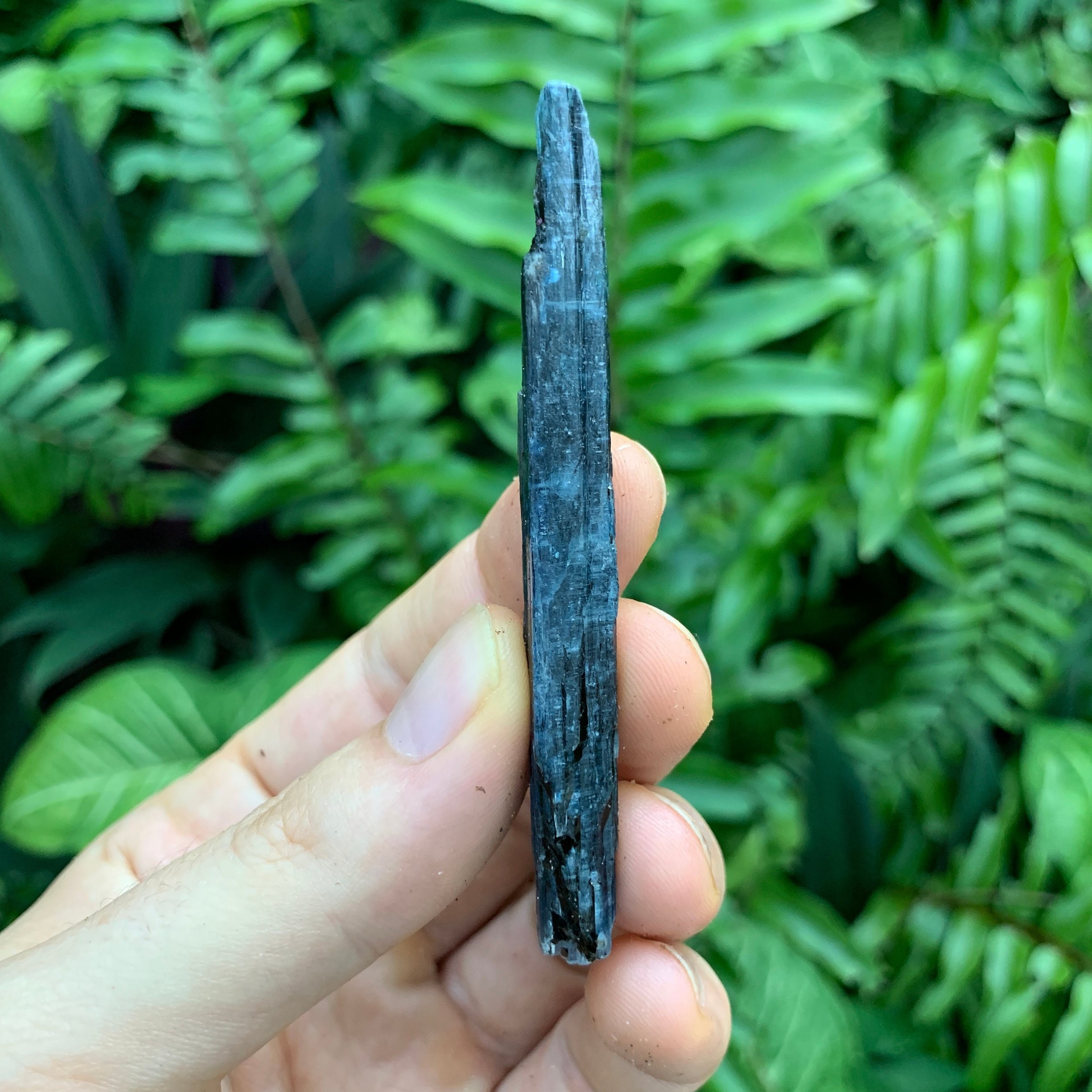 Blue Kyanite Raw Crystals (2-3 Inch - AA Grade - 24-40 Pieces Per Pound) Ethically Sourced from Zimbabwe - Beyond Bohemian