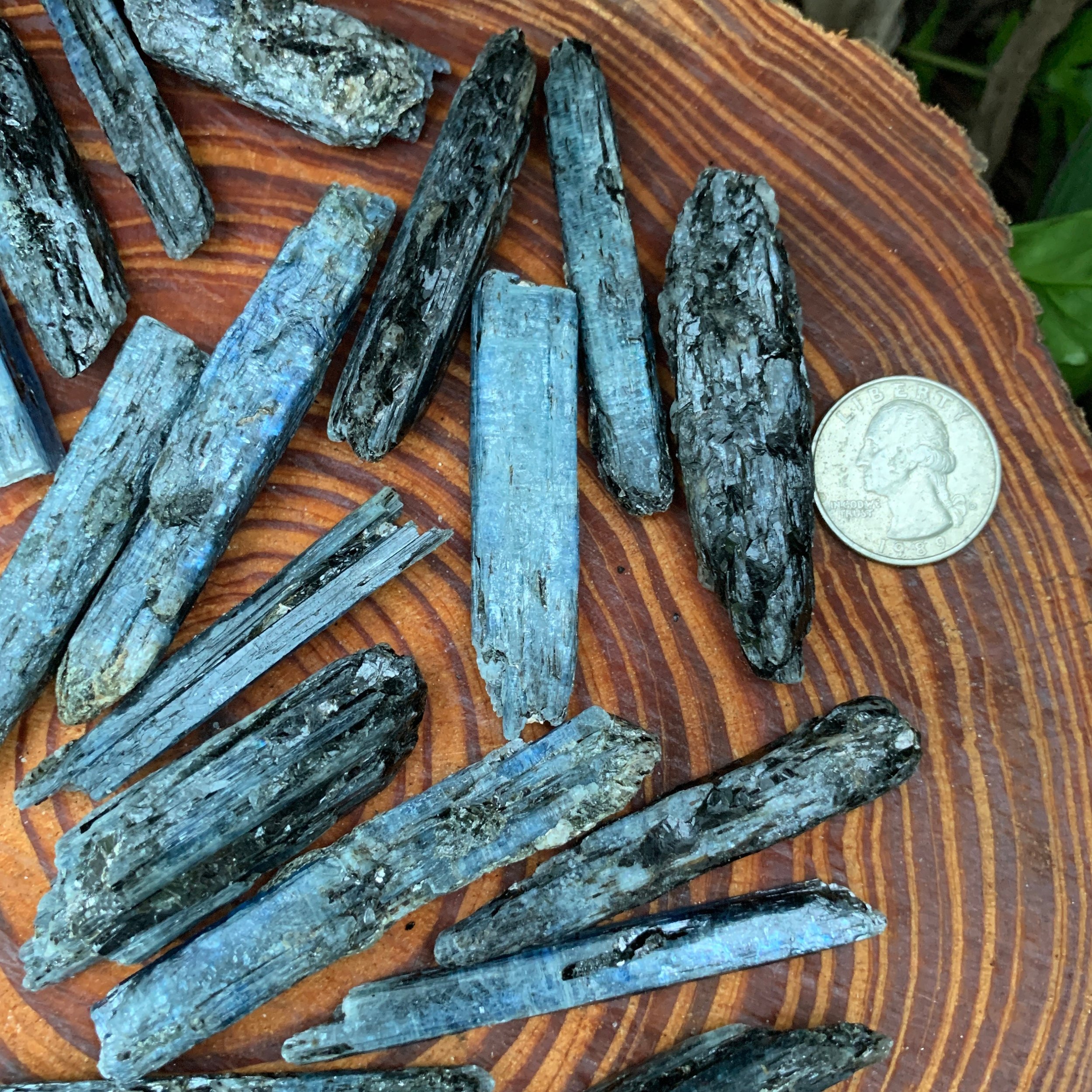 Blue Kyanite Raw Crystals (2-3 Inch - AA Grade - 24-40 Pieces Per Pound) Ethically Sourced from Zimbabwe - Beyond Bohemian