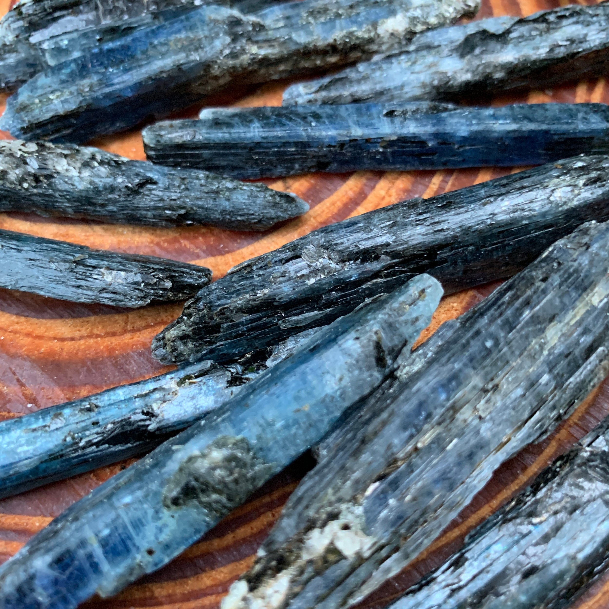 Blue Kyanite Raw Crystals (2-3 Inch - AA Grade - 24-40 Pieces Per Pound) Ethically Sourced from Zimbabwe - Beyond Bohemian