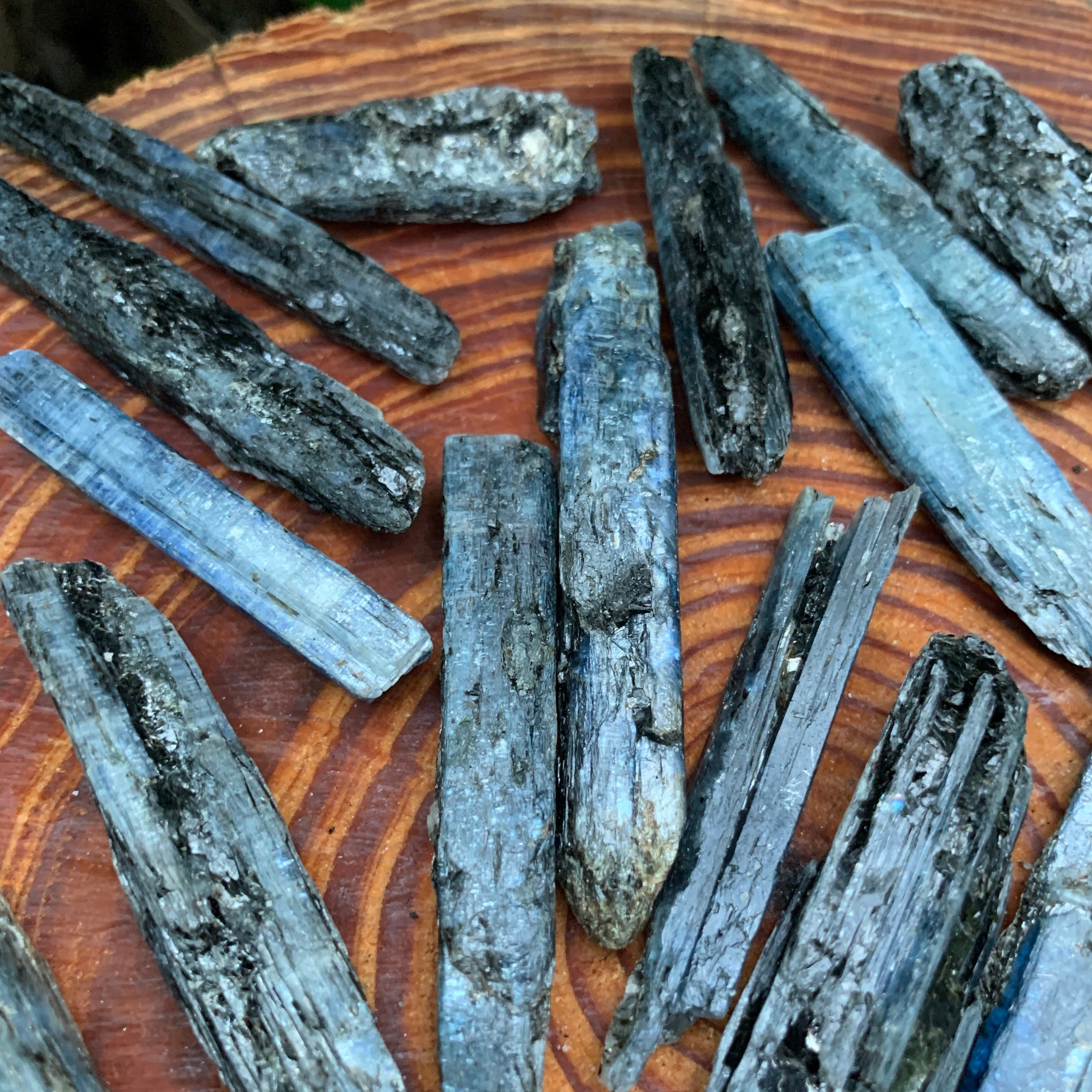 Blue Kyanite Raw Crystals (2-3 Inch - AA Grade - 24-40 Pieces Per Pound) Ethically Sourced from Zimbabwe - Beyond Bohemian