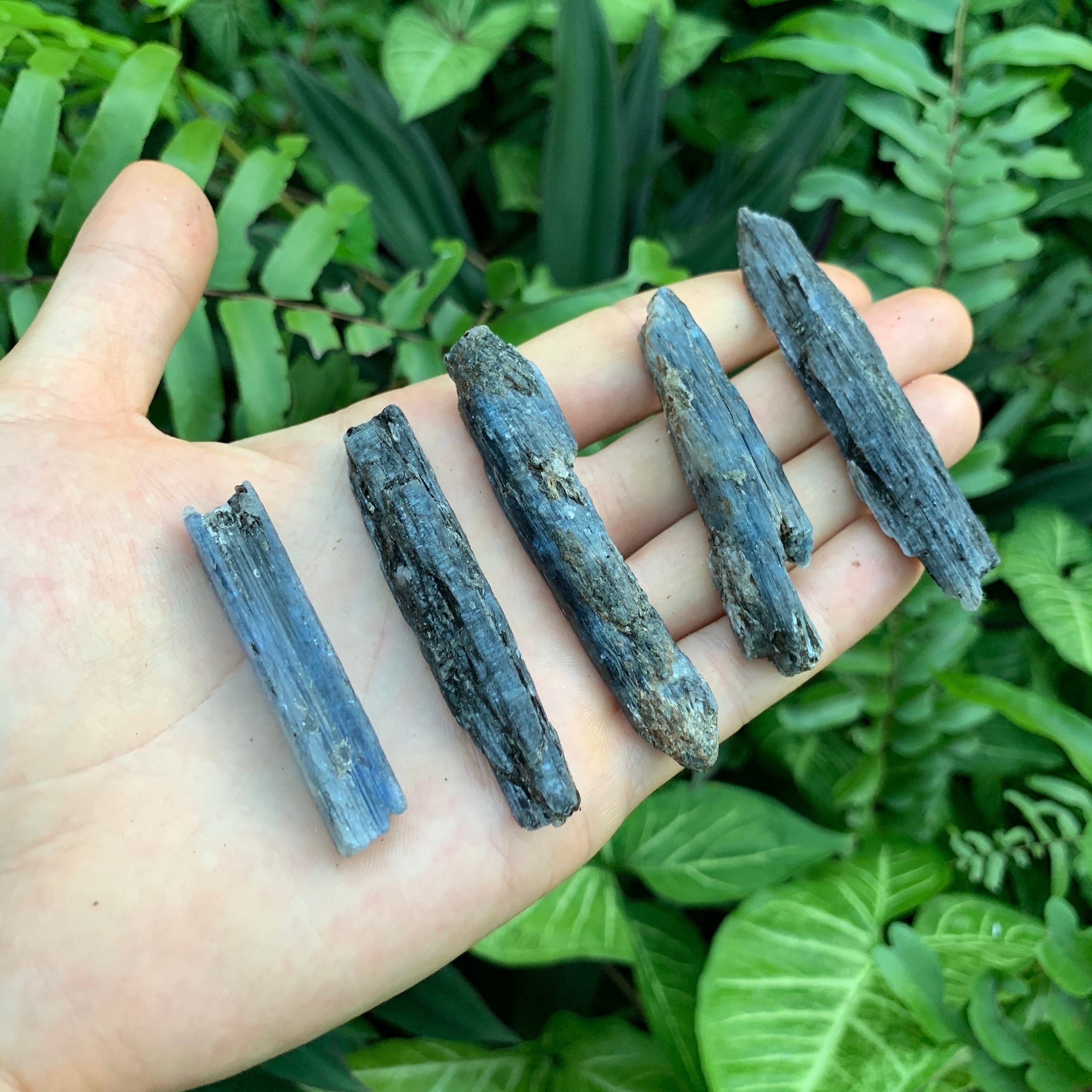 Blue Kyanite Raw Crystals (2-3 Inch - AA Grade - 24-40 Pieces Per Pound) Ethically Sourced from Zimbabwe - Beyond Bohemian