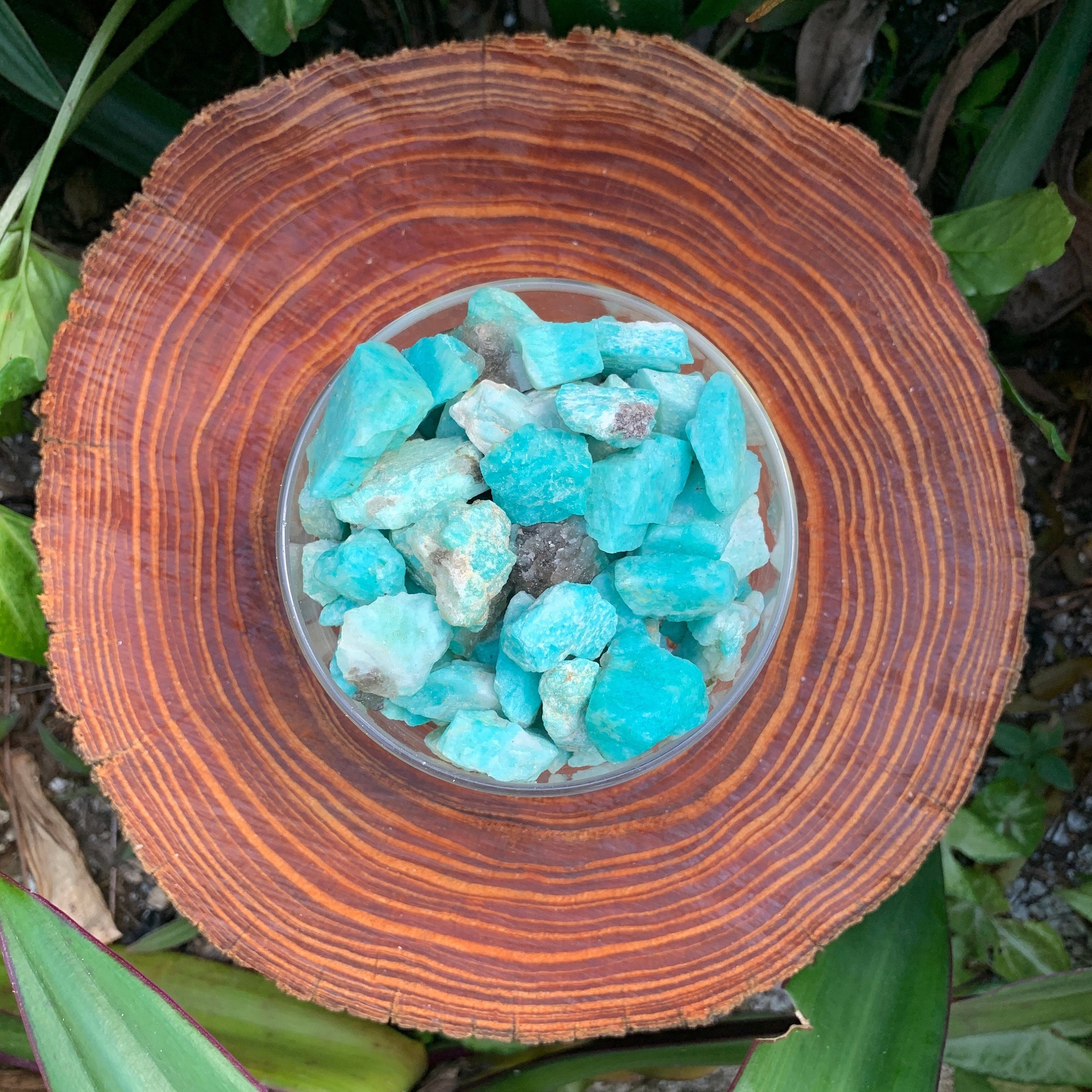 Amazonite Raw Stones (0.50-1.50 Inch - AA Grade - 32-64 Pieces Per Pound) Ethically Sourced from Madagascar - Beyond Bohemian