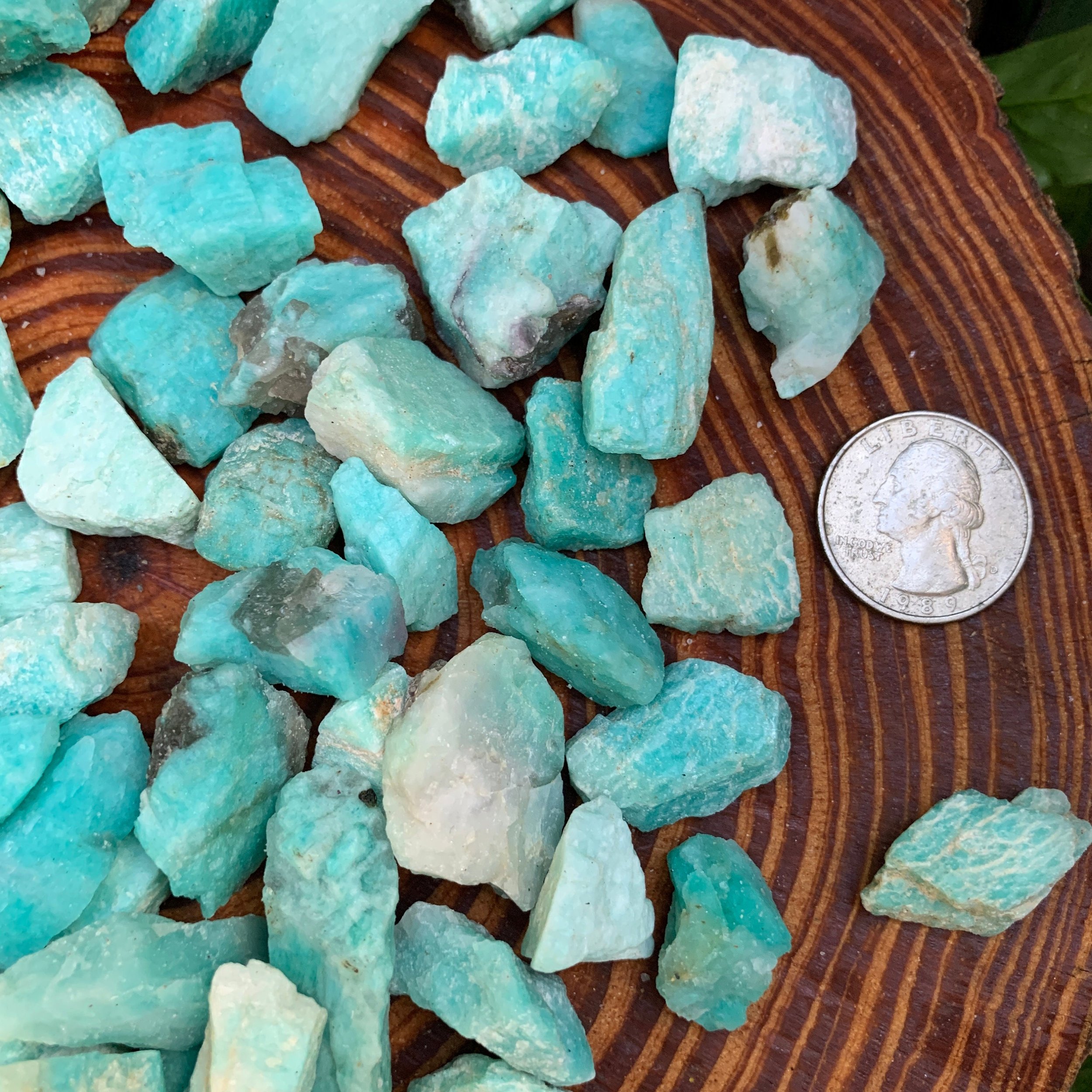 Amazonite Raw Stones (0.50-1.50 Inch - AA Grade - 32-64 Pieces Per Pound) Ethically Sourced from Madagascar - Beyond Bohemian