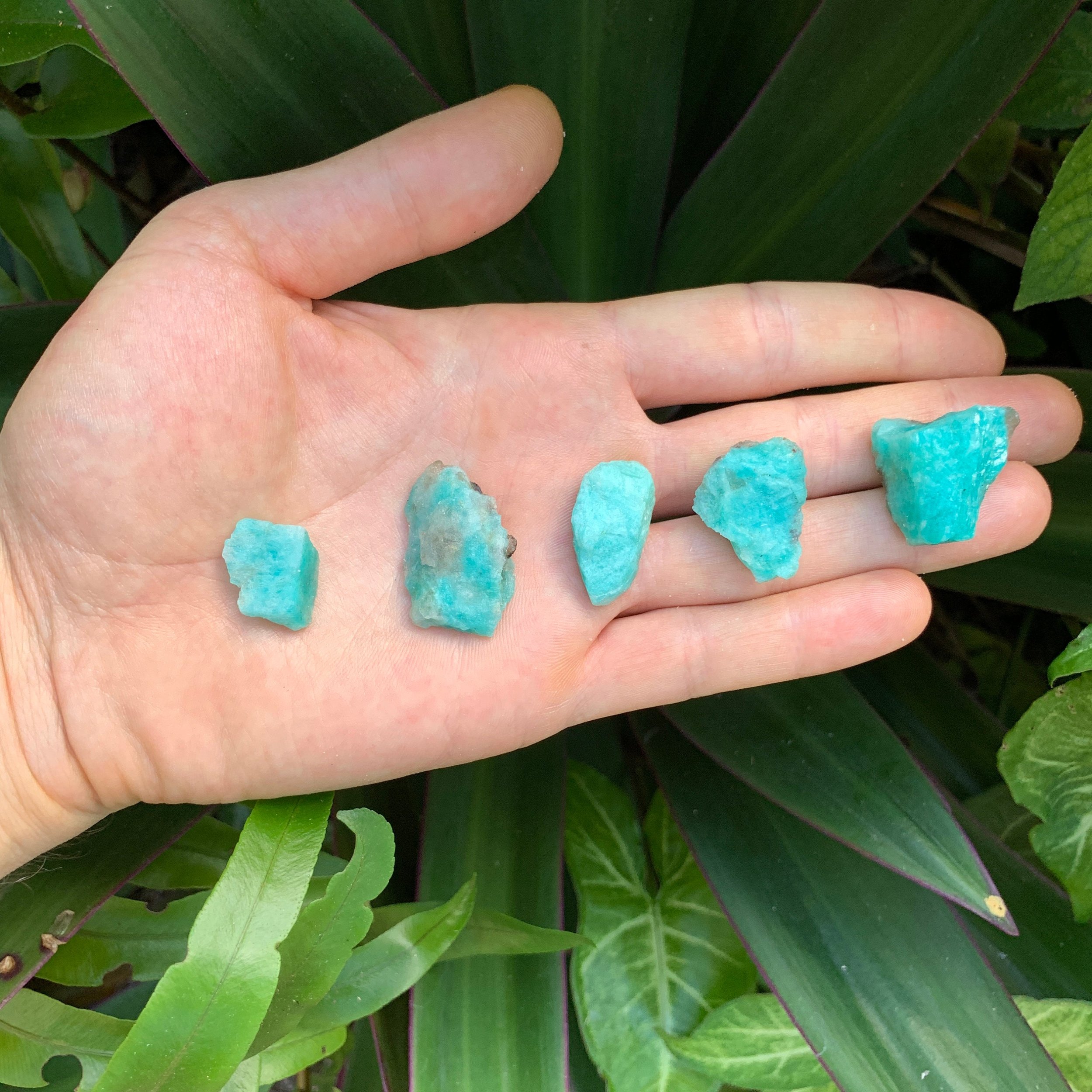Amazonite Raw Stones (0.50-1.50 Inch - AA Grade - 32-64 Pieces Per Pound) Ethically Sourced from Madagascar - Beyond Bohemian