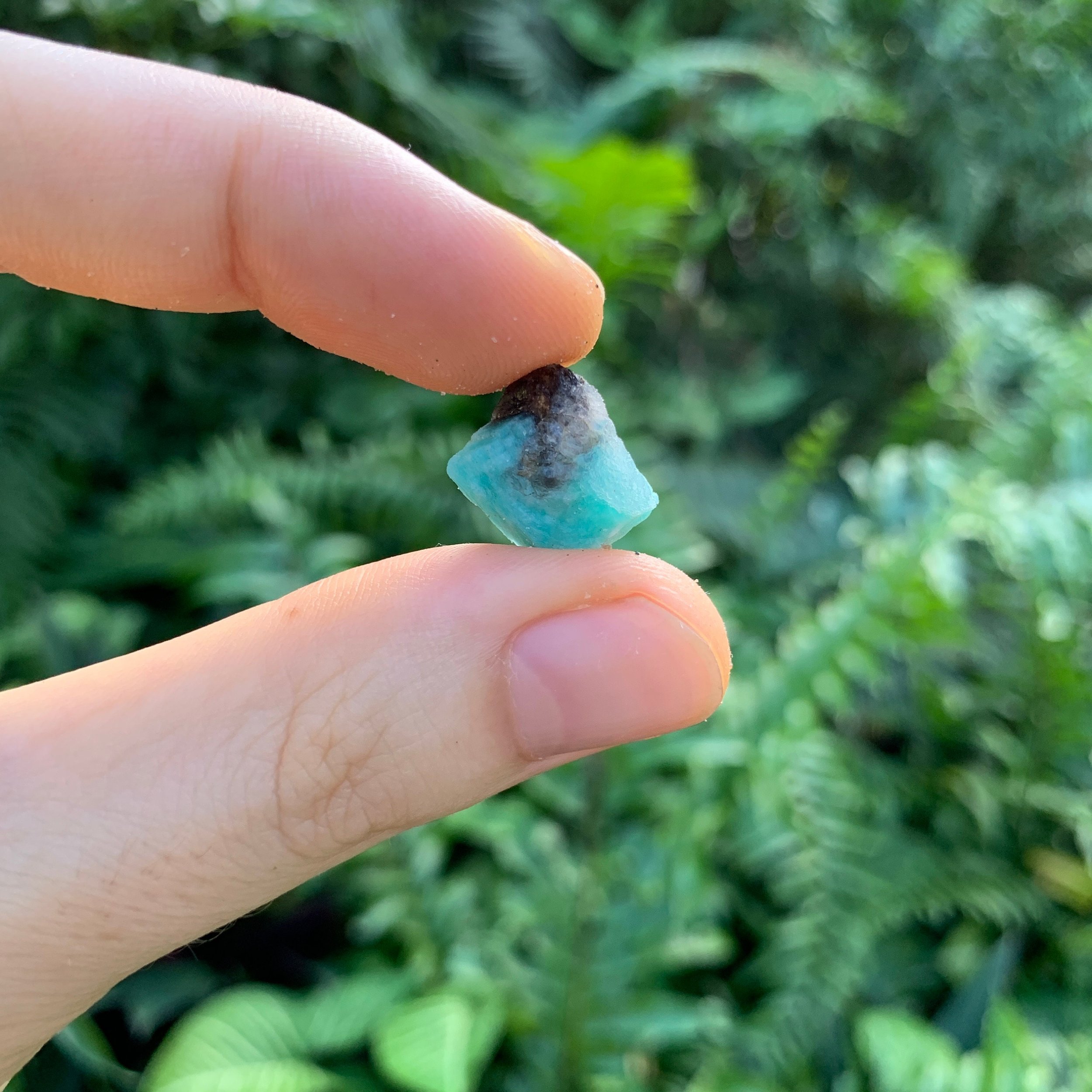 Amazonite Raw Stones (0.50-1.50 Inch - AA Grade - 32-64 Pieces Per Pound) Ethically Sourced from Madagascar - Beyond Bohemian