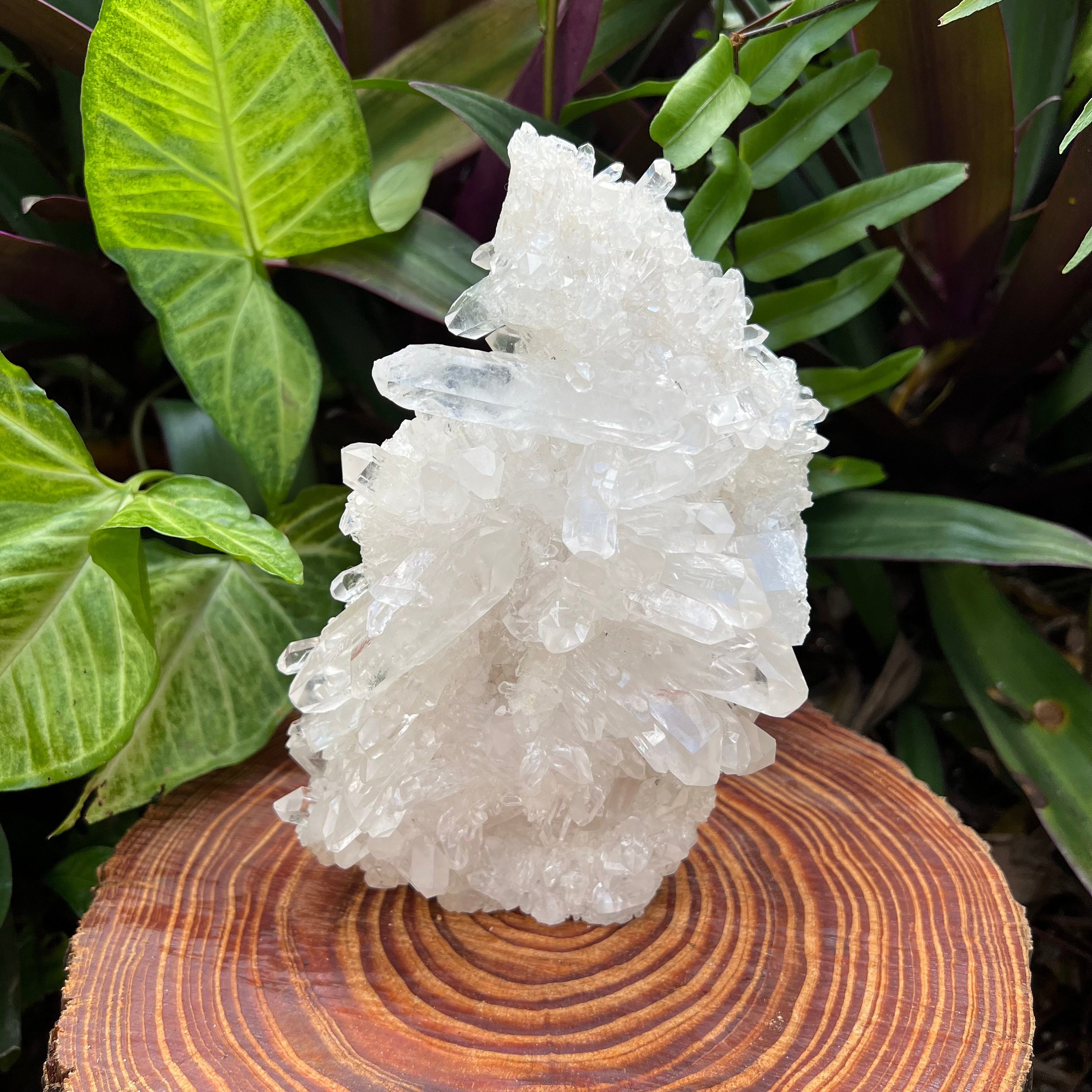 https://i.etsystatic.com/12652071/r/il/c9b23c/3576350371/il_fullxfull.3576350371_gklq.jpg
