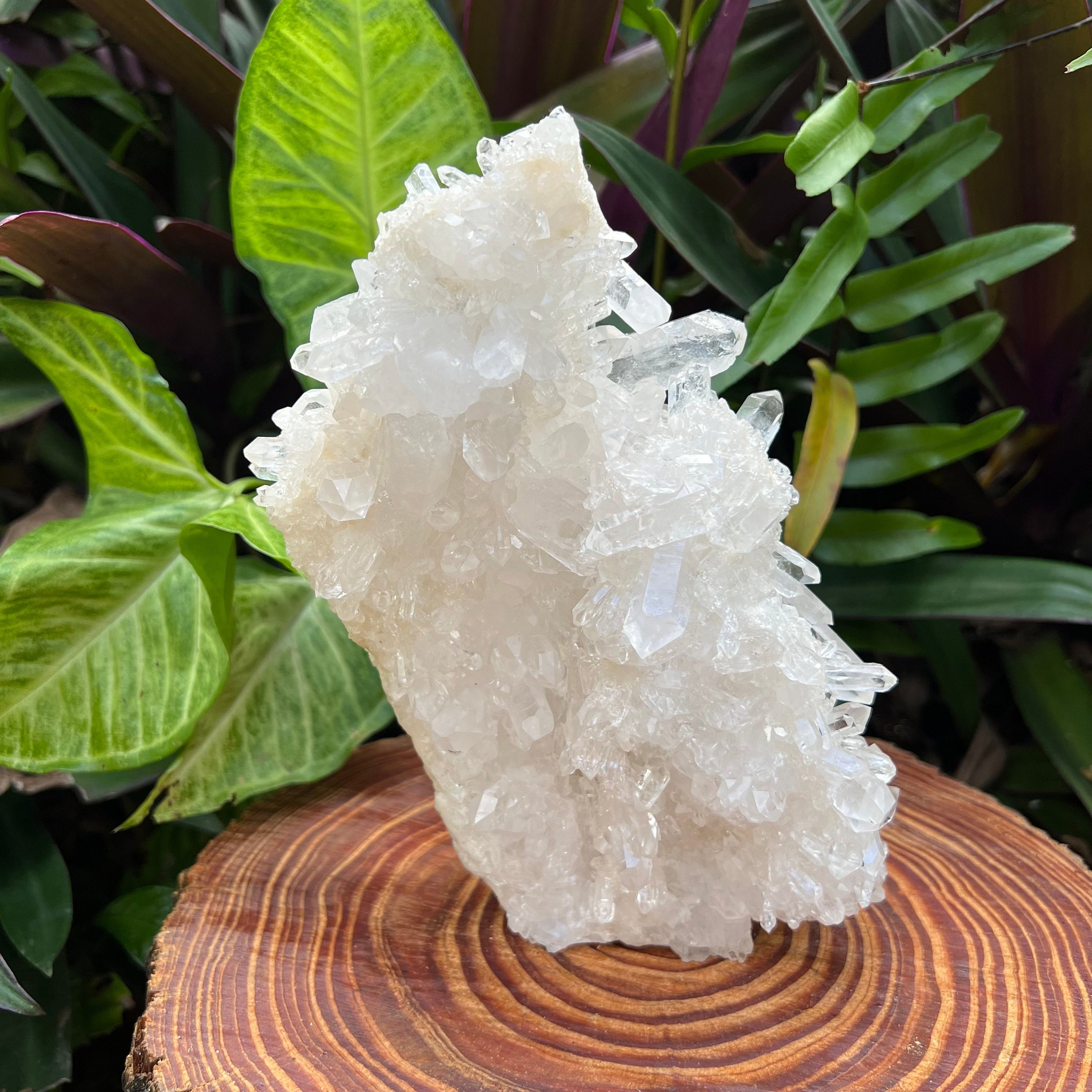 https://i.etsystatic.com/12652071/r/il/6a7ee9/3528710766/il_fullxfull.3528710766_tgum.jpg