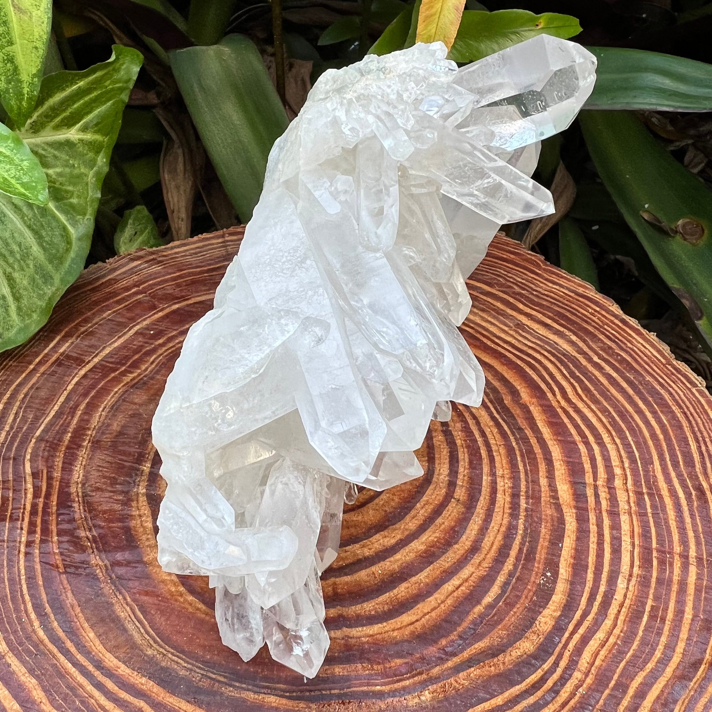 Clear Quartz Raw Crystal Cluster - AAA Collector's Grade - Ethically Sourced from Brazil - Beyond Bohemian