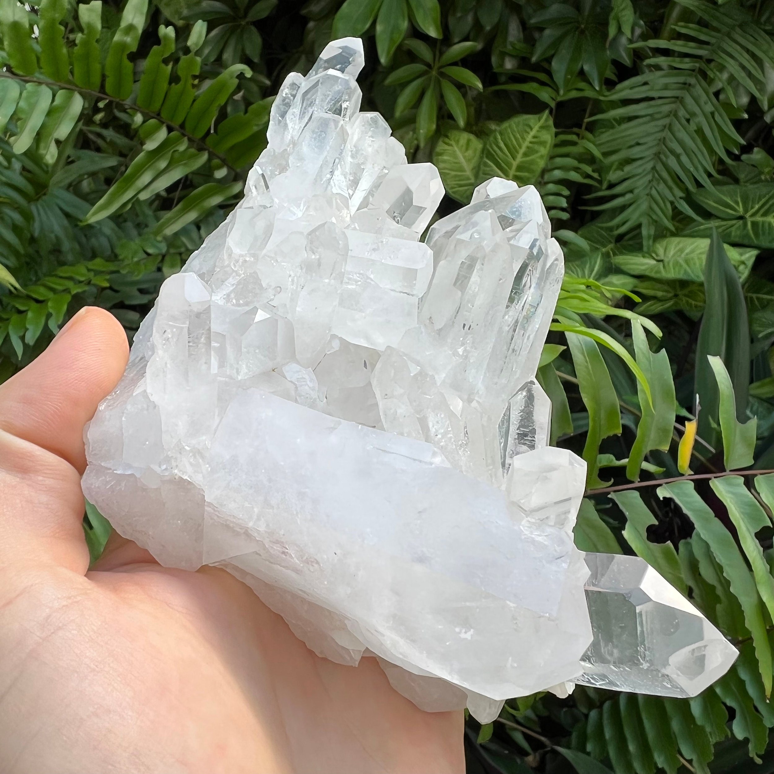 Clear Quartz Raw Crystal Cluster - AAA Collector's Grade - Ethically Sourced from Brazil - Beyond Bohemian