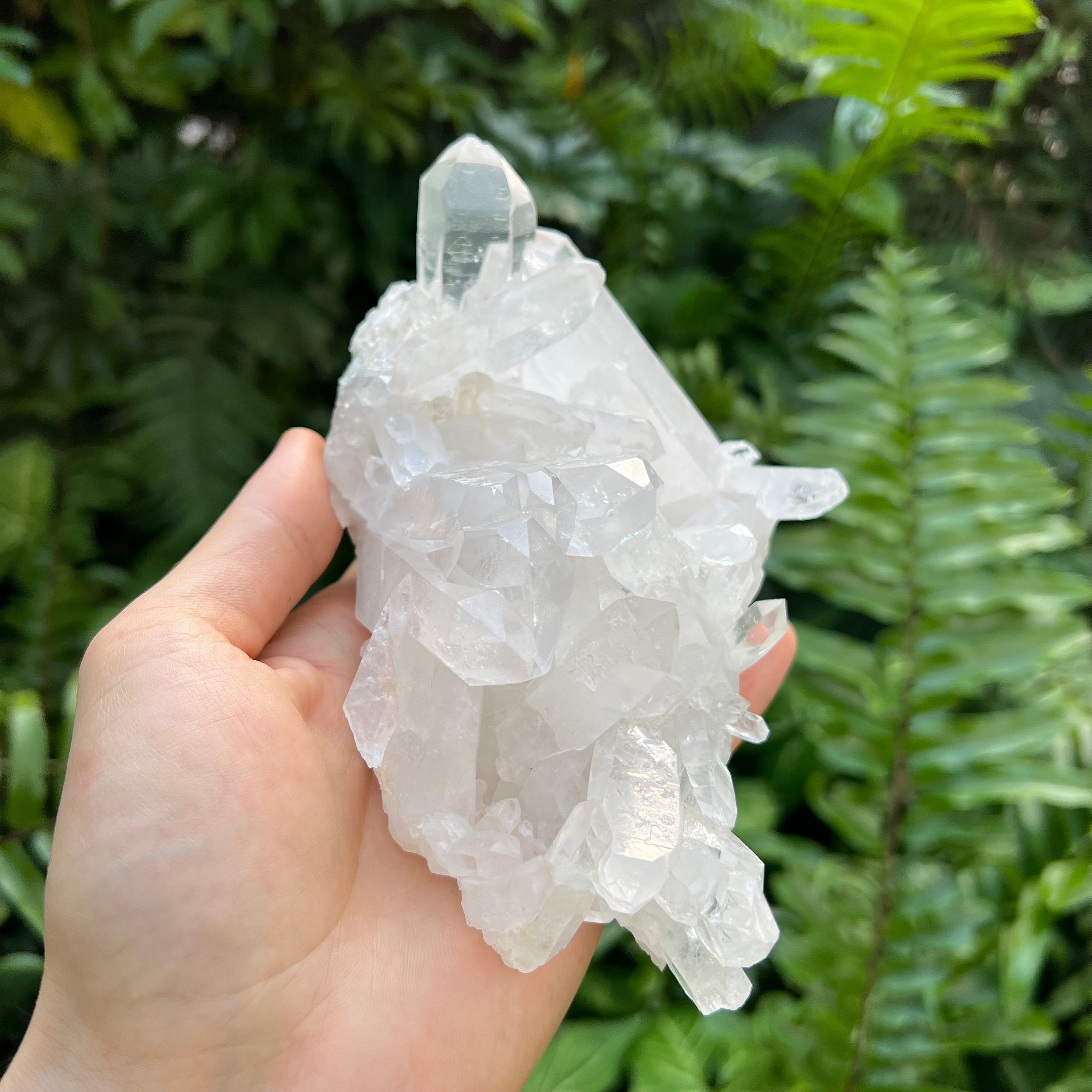 Clear Quartz Raw Crystal Cluster - AAA Collector's Grade - Ethically Sourced from Brazil - Beyond Bohemian