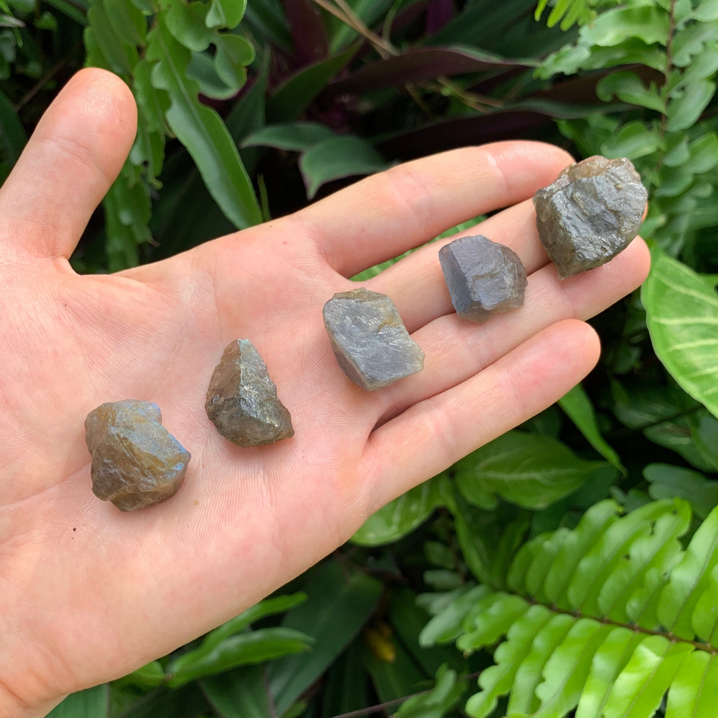 Labradorite (Rainbow) Raw Stones (0.50-1.50 Inch - AA Grade - 40-80 Pieces Per Pound) Ethically Sourced from Madagascar - Beyond Bohemian