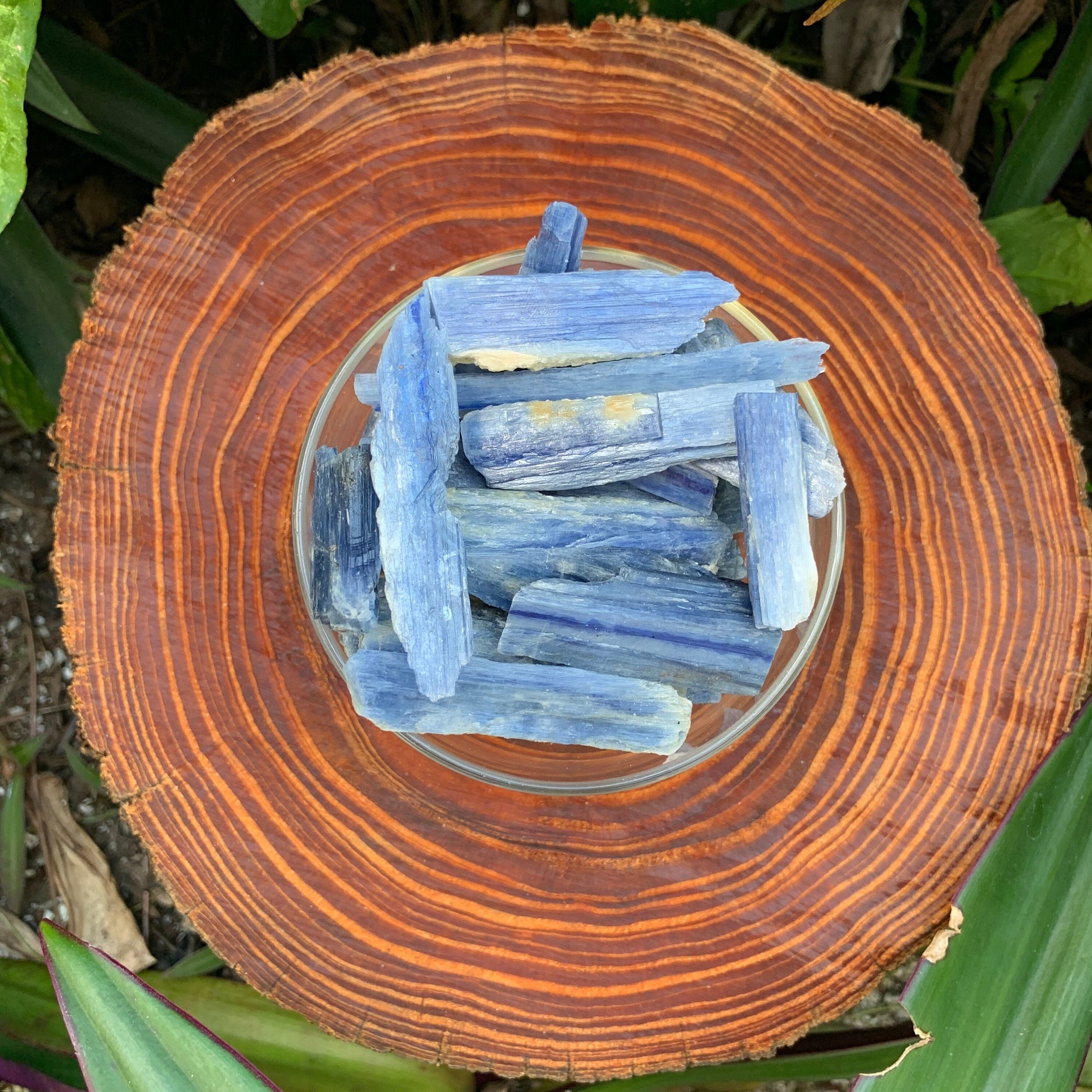 https://i.etsystatic.com/12652071/r/il/1a4f19/3520152758/il_fullxfull.3520152758_25je.jpg