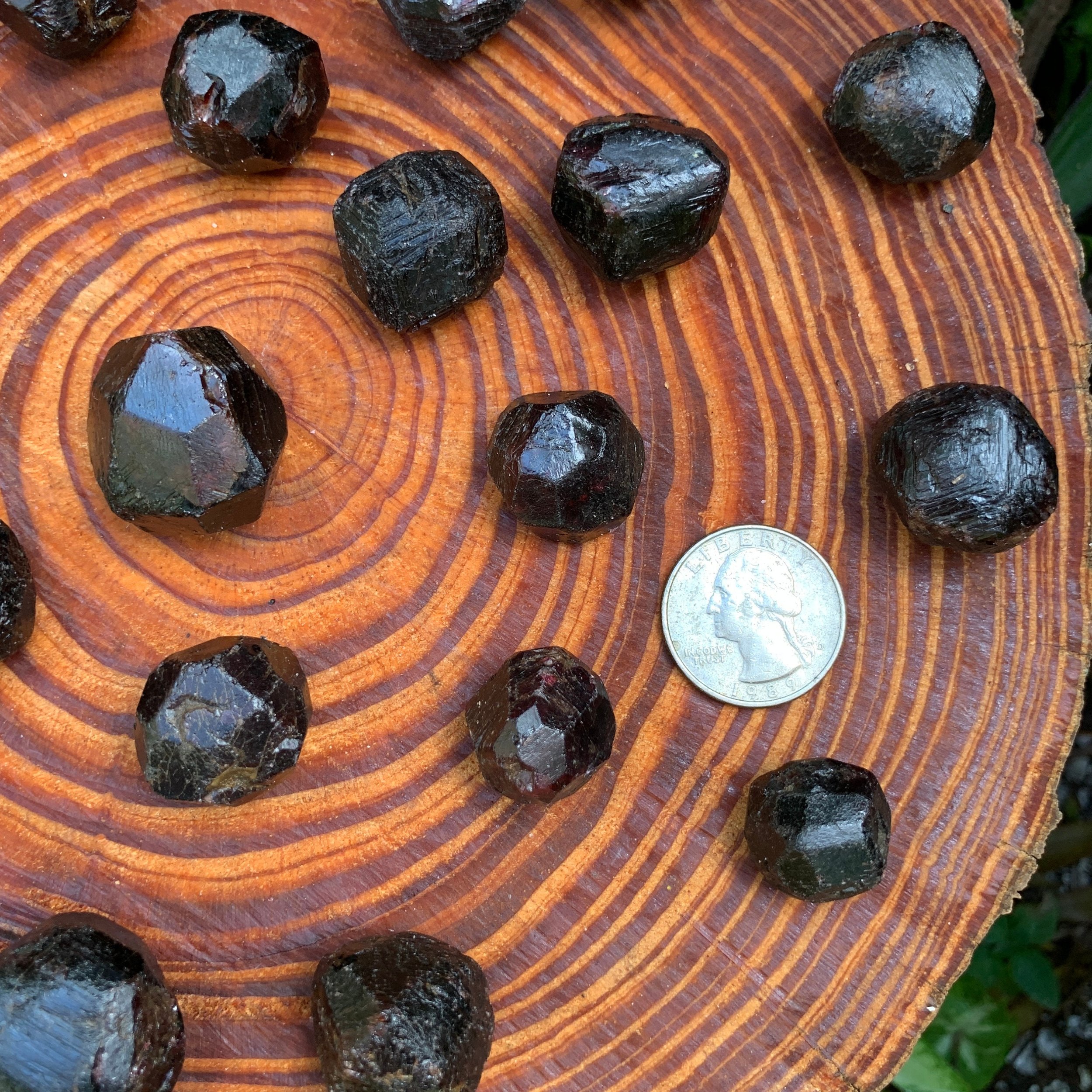 https://i.etsystatic.com/12652071/r/il/abe418/3519863292/il_fullxfull.3519863292_4qyg.jpg