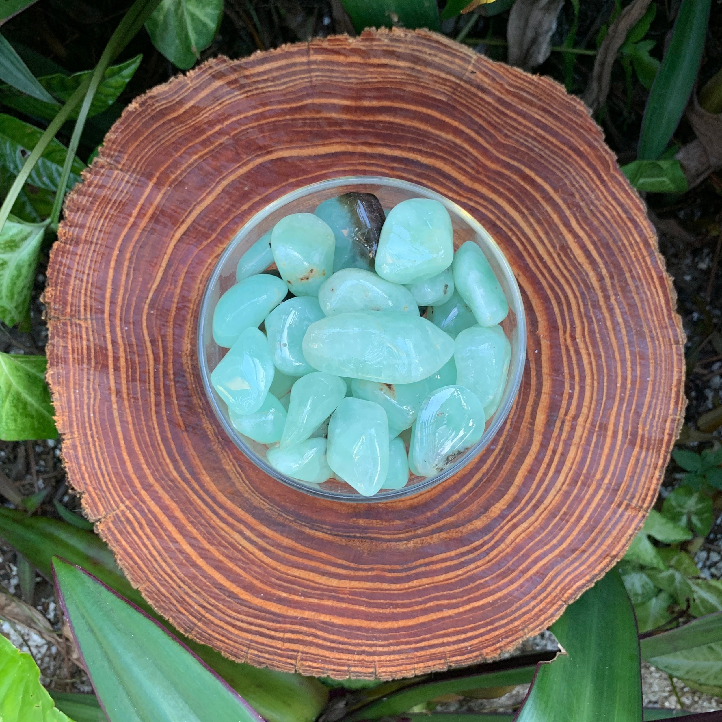 Prehnite Tumbled Stones (1-1.50 Inch - AA Grade - 24-40 Pieces Per Pound) Ethically Sourced from Namibia - Beyond Bohemian