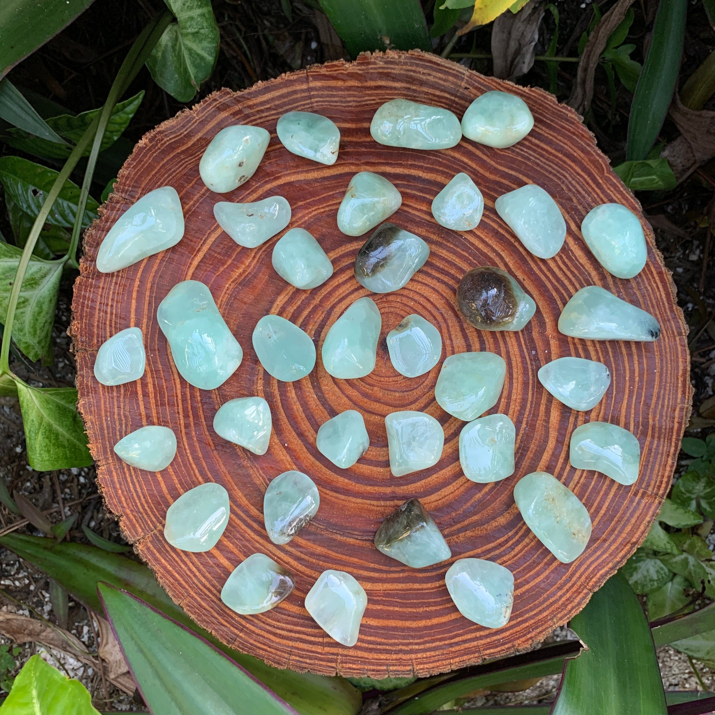 Prehnite Tumbled Stones (1-1.50 Inch - AA Grade - 24-40 Pieces Per Pound) Ethically Sourced from Namibia - Beyond Bohemian