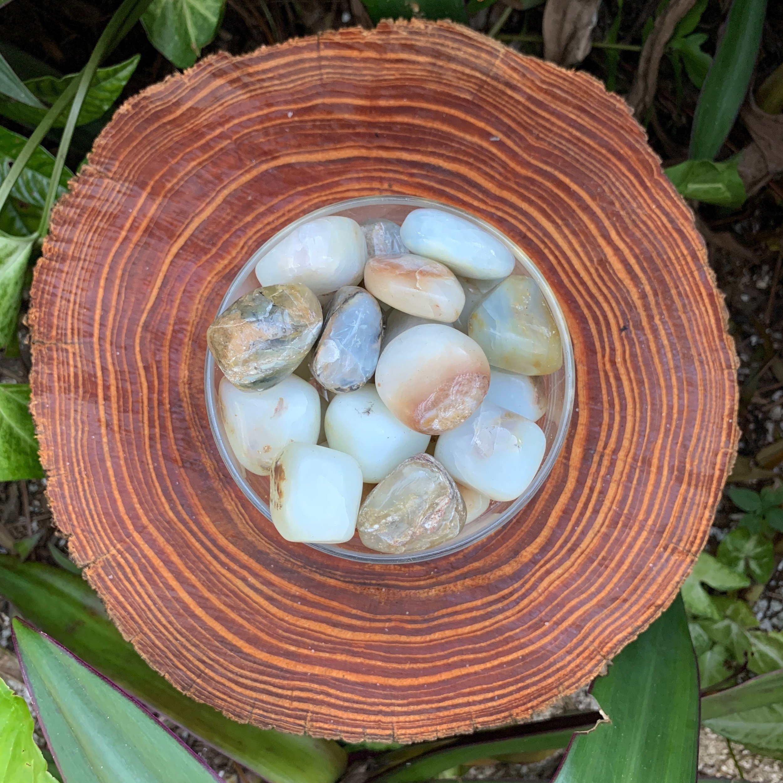 https://i.etsystatic.com/12652071/r/il/e1822c/3572269111/il_fullxfull.3572269111_j7vl.jpg