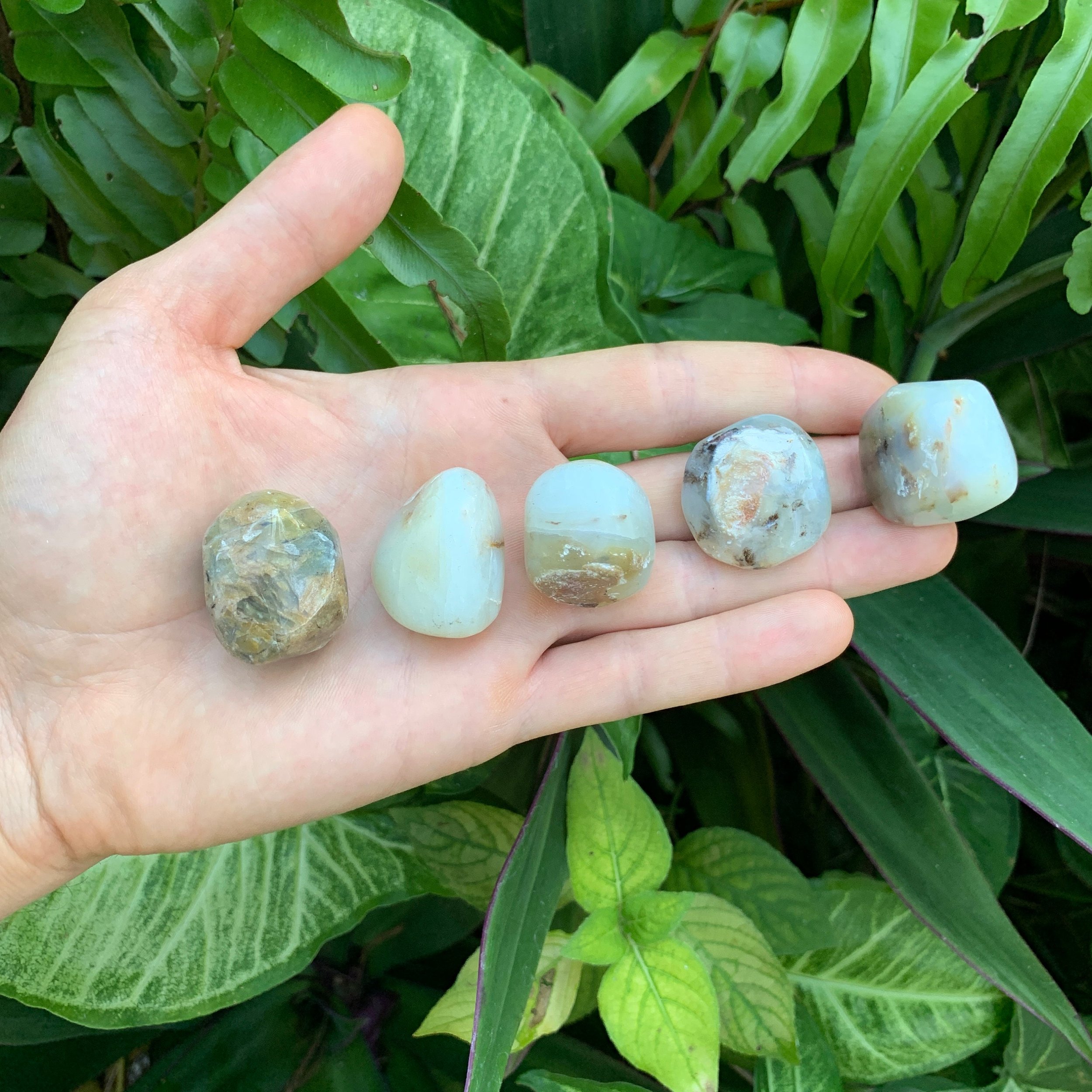 https://i.etsystatic.com/12652071/r/il/caaee9/3567659559/il_fullxfull.3567659559_d3av.jpg