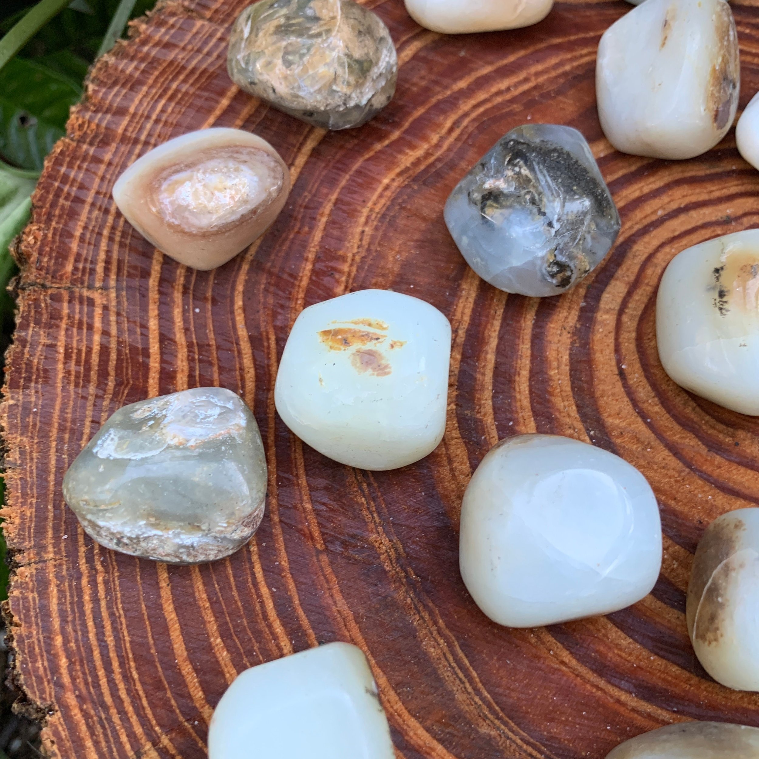 https://i.etsystatic.com/12652071/r/il/23ed99/3567659453/il_fullxfull.3567659453_segn.jpg