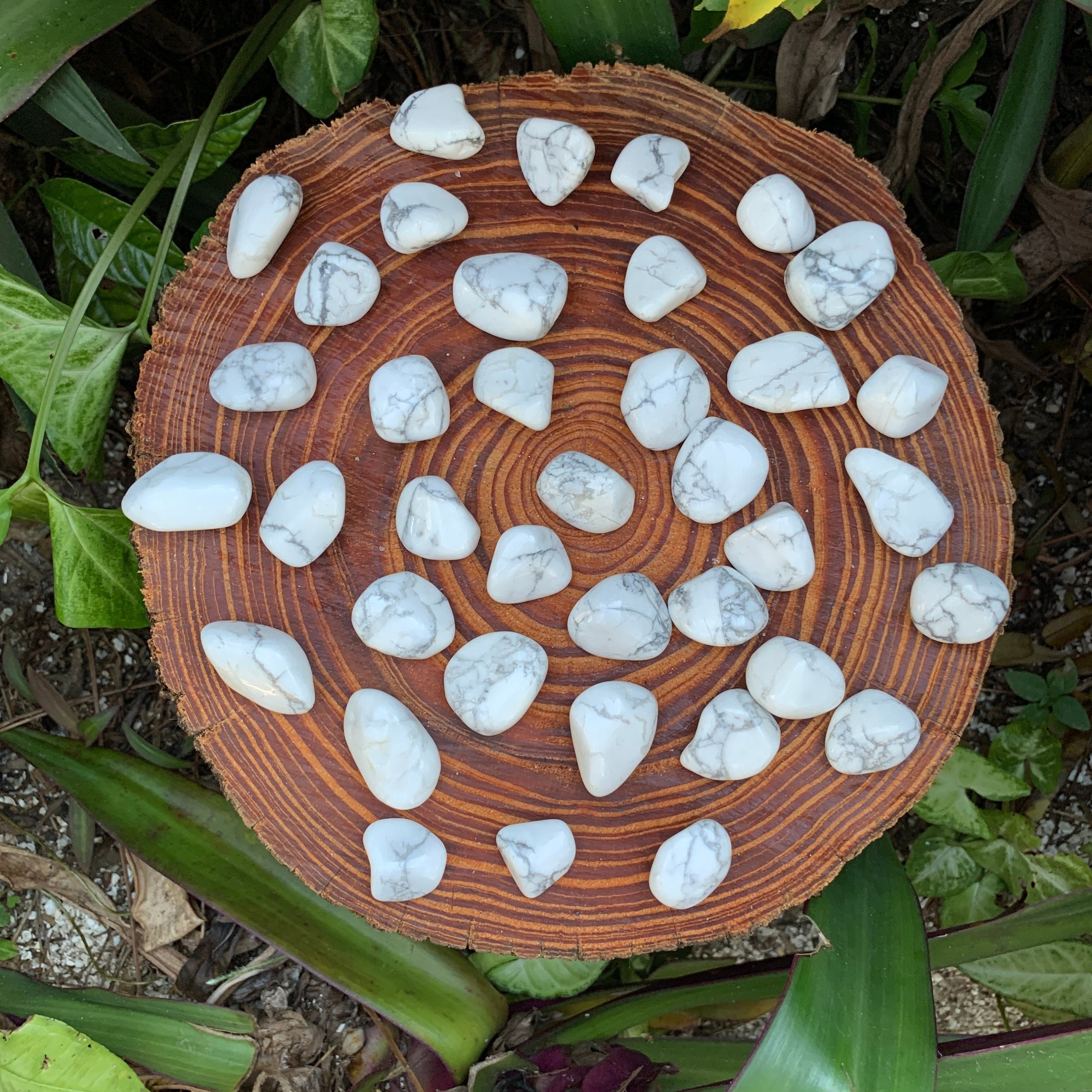 https://i.etsystatic.com/12652071/r/il/46b0a3/3520035534/il_fullxfull.3520035534_5p4t.jpg