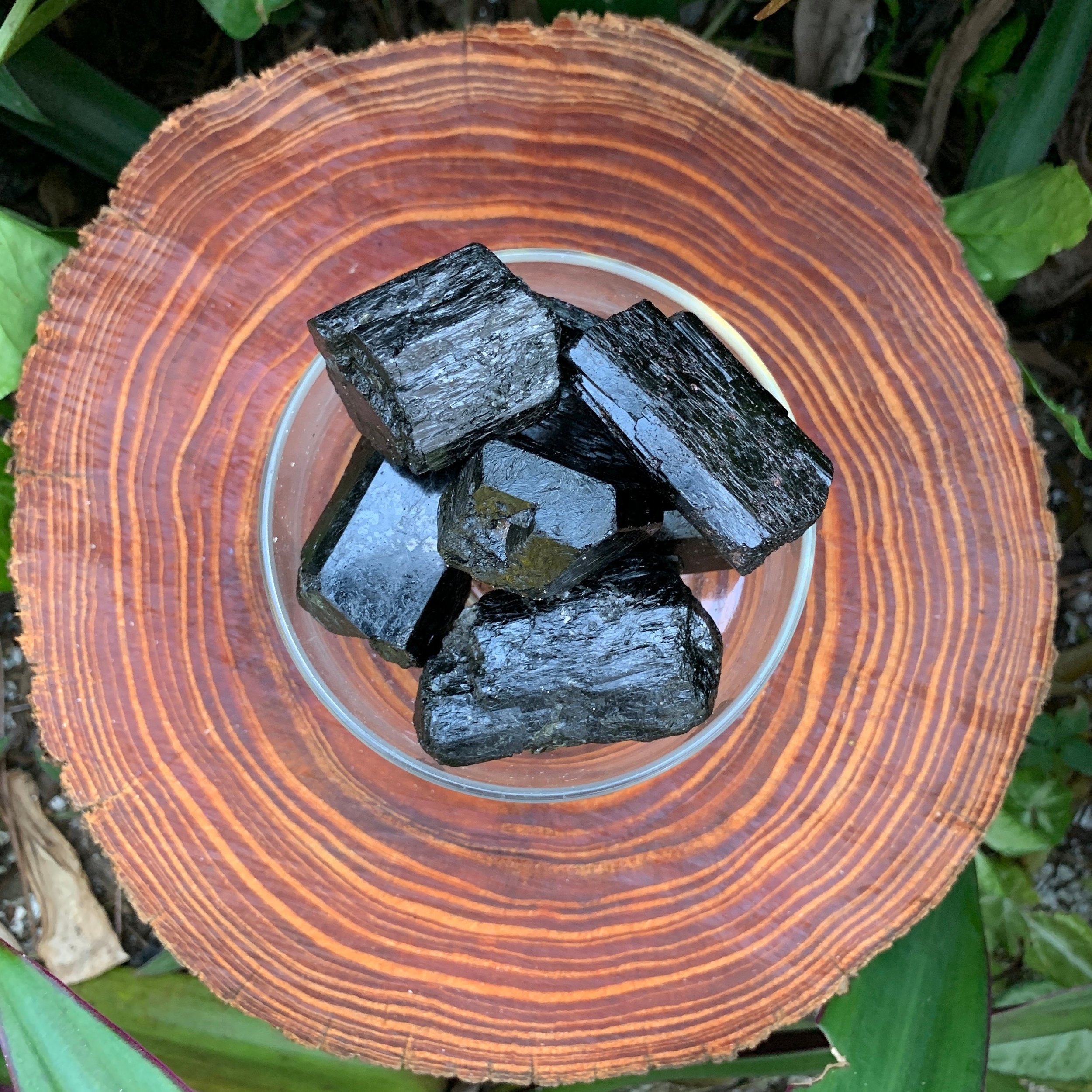 https://i.etsystatic.com/12652071/r/il/85334c/3522529566/il_fullxfull.3522529566_r8a4.jpg