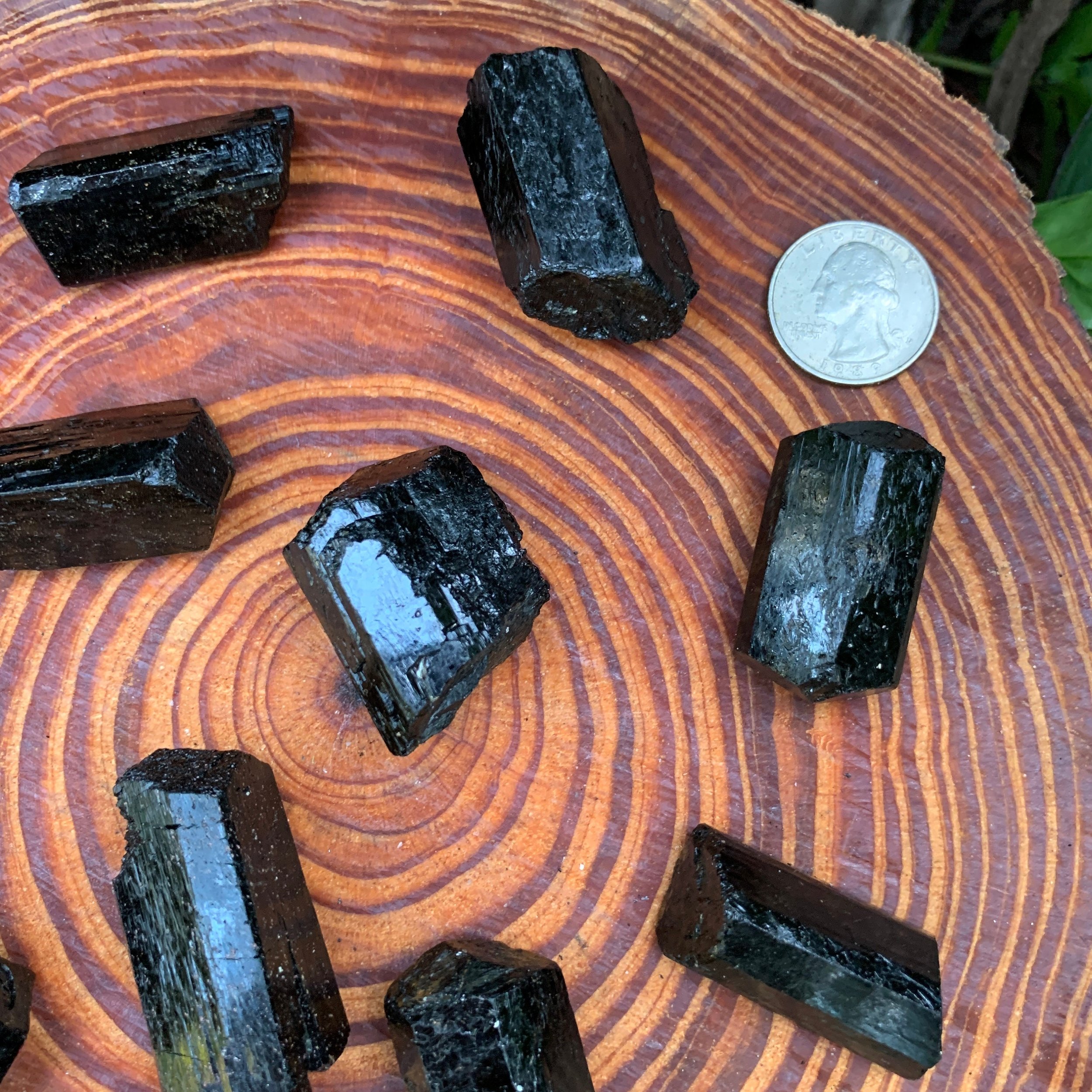 https://i.etsystatic.com/12652071/r/il/4ed617/3567539681/il_fullxfull.3567539681_9uuq.jpg