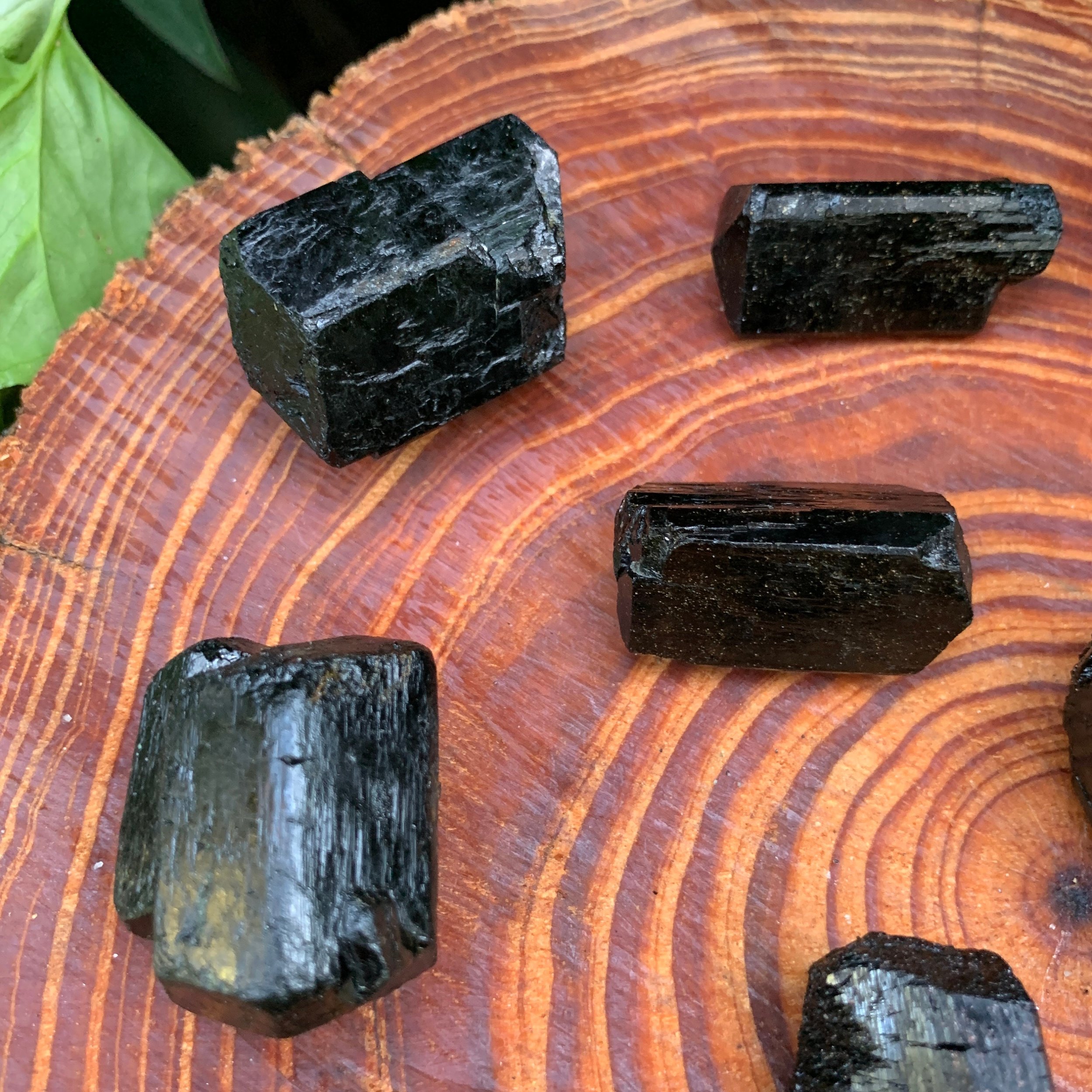 https://i.etsystatic.com/12652071/r/il/66440a/3519901470/il_fullxfull.3519901470_l70z.jpg