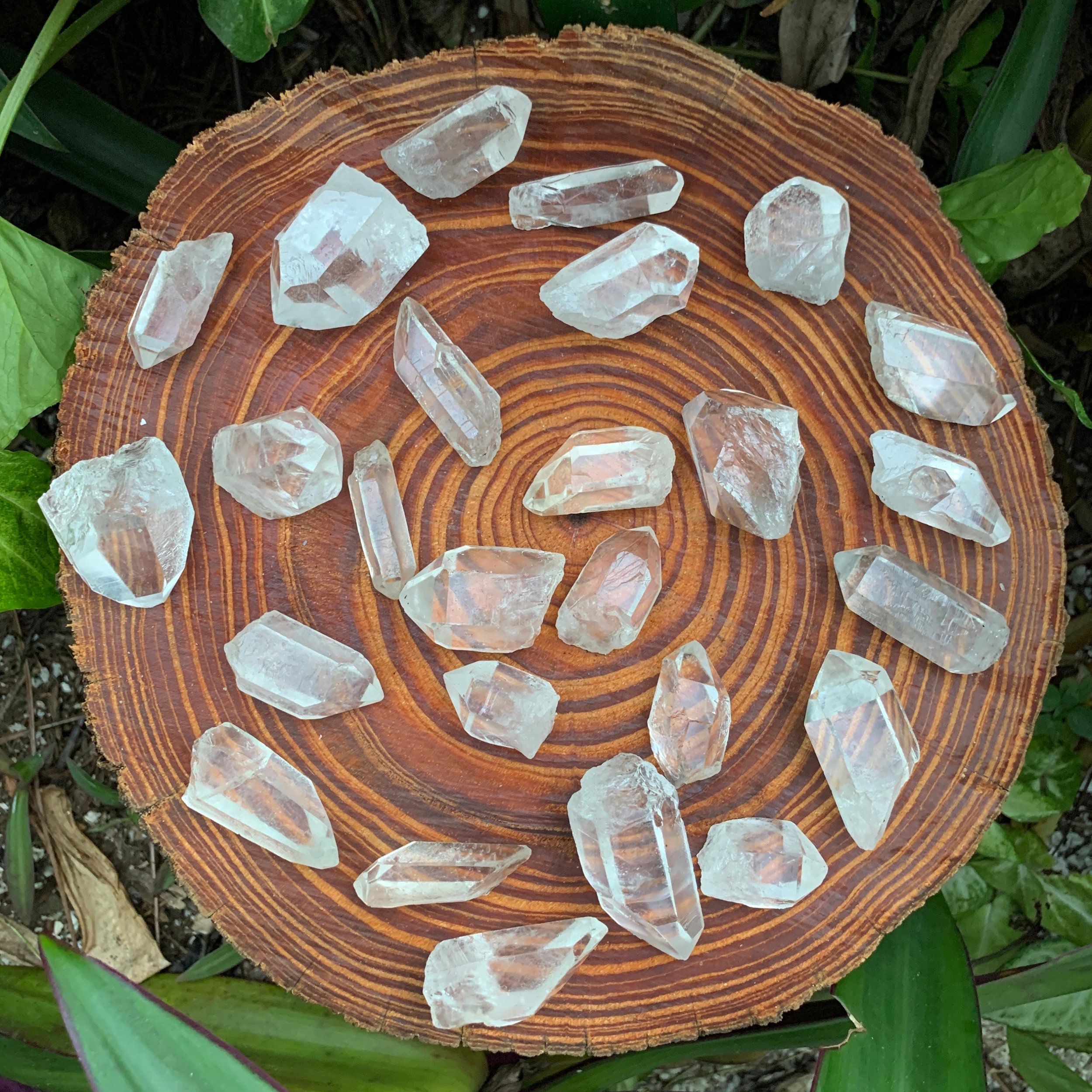 https://i.etsystatic.com/12652071/r/il/842e25/3567558049/il_fullxfull.3567558049_s4lv.jpg