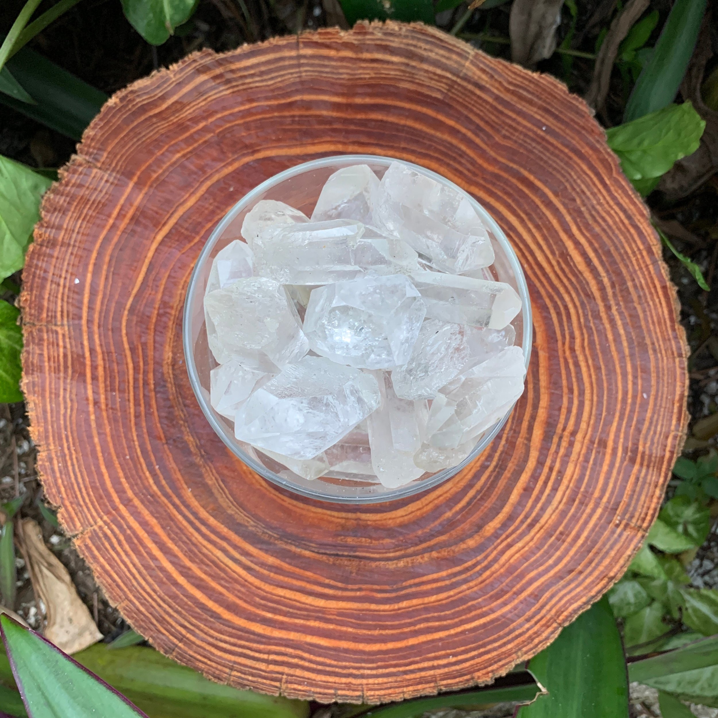 https://i.etsystatic.com/12652071/r/il/89a199/3519918216/il_fullxfull.3519918216_lrhd.jpg