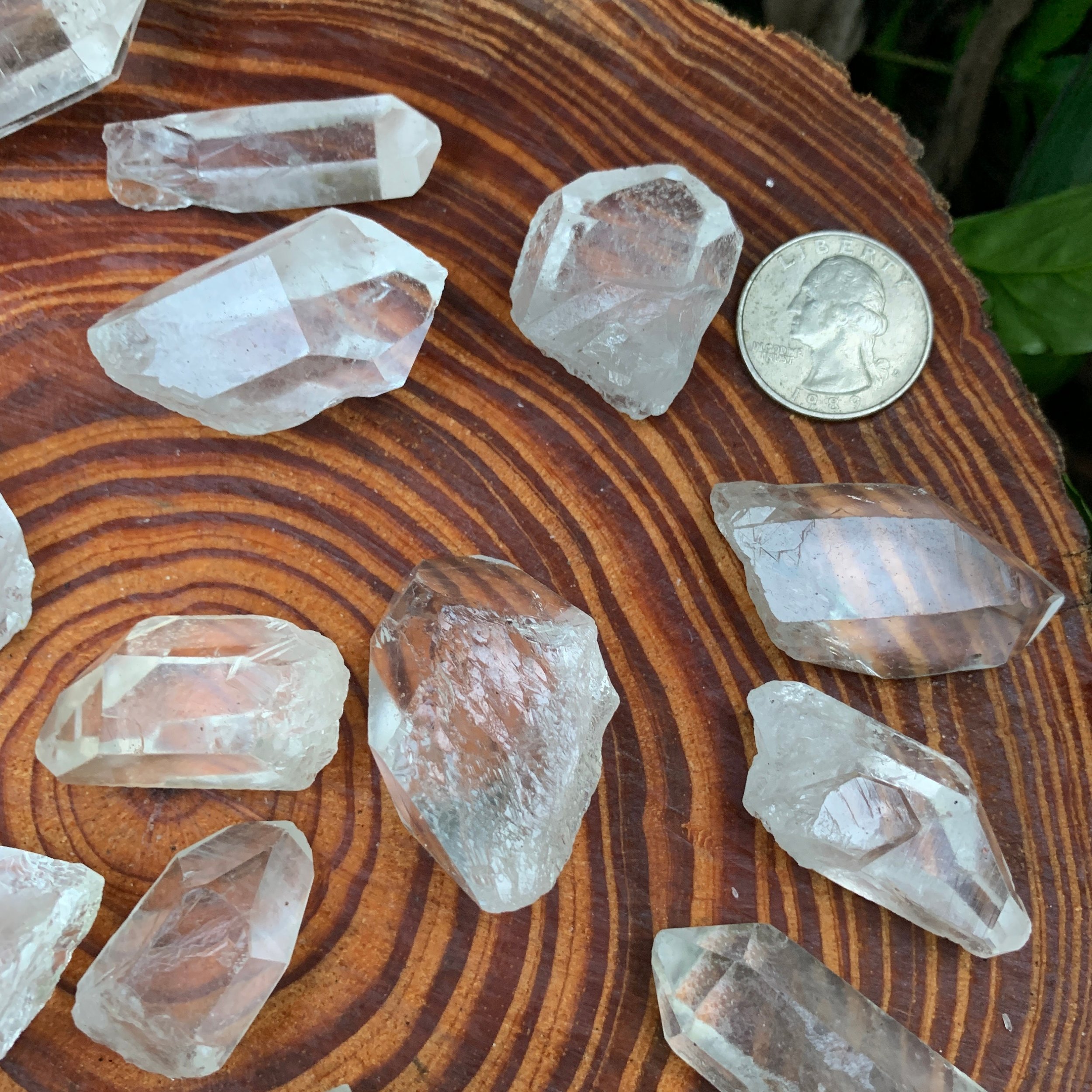 https://i.etsystatic.com/12652071/r/il/333f2b/3519919698/il_fullxfull.3519919698_n3ug.jpg
