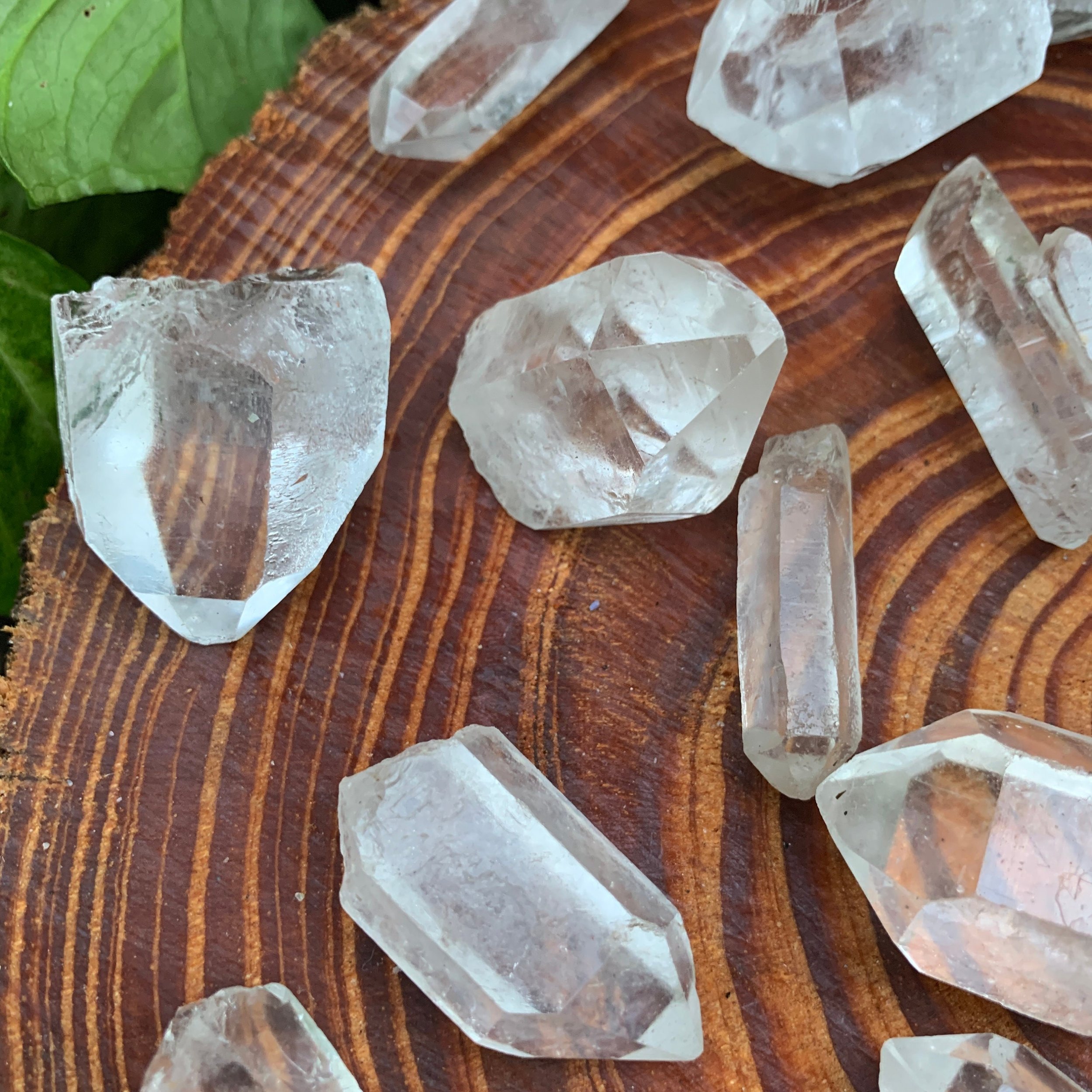 https://i.etsystatic.com/12652071/r/il/ca1174/3519919694/il_fullxfull.3519919694_lojr.jpg