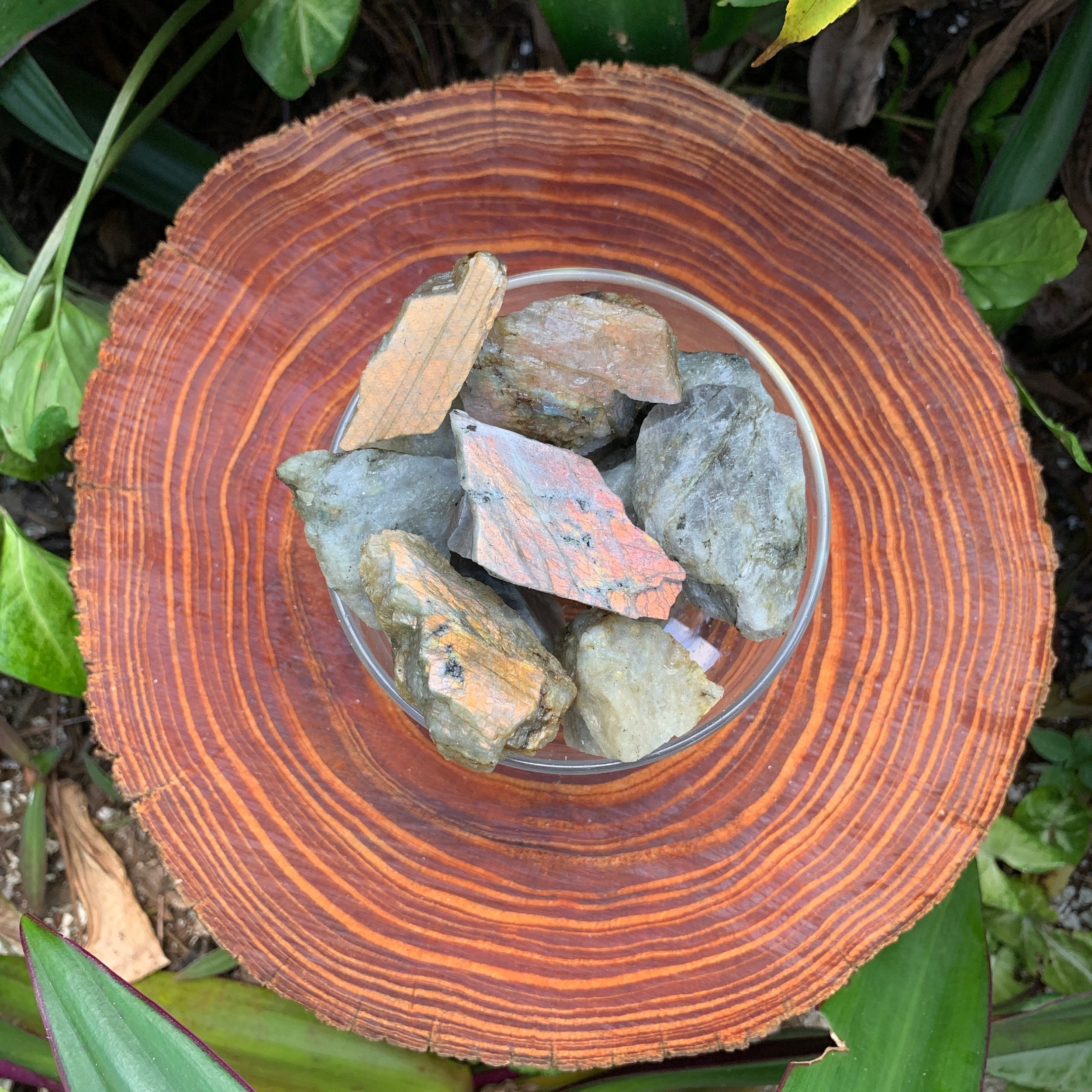 Labradorite (Orange/Gold Predominant) Raw Stones (1-2 Inch - A Grade - 12-20 Pieces Per Pound) Ethically Sourced from Madagascar - Beyond Bohemian