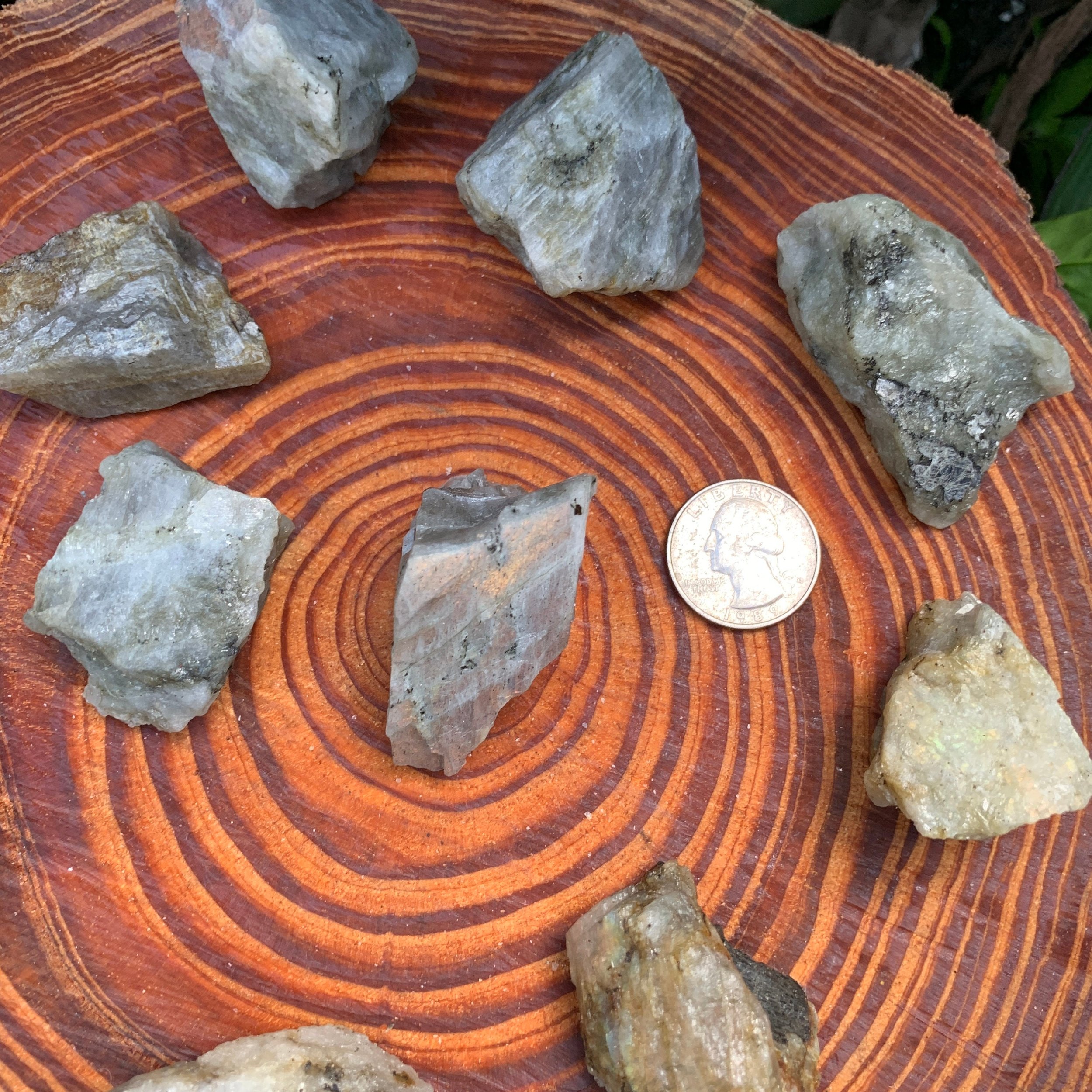 Labradorite (Orange/Gold Predominant) Raw Stones (1-2 Inch - A Grade - 12-20 Pieces Per Pound) Ethically Sourced from Madagascar - Beyond Bohemian