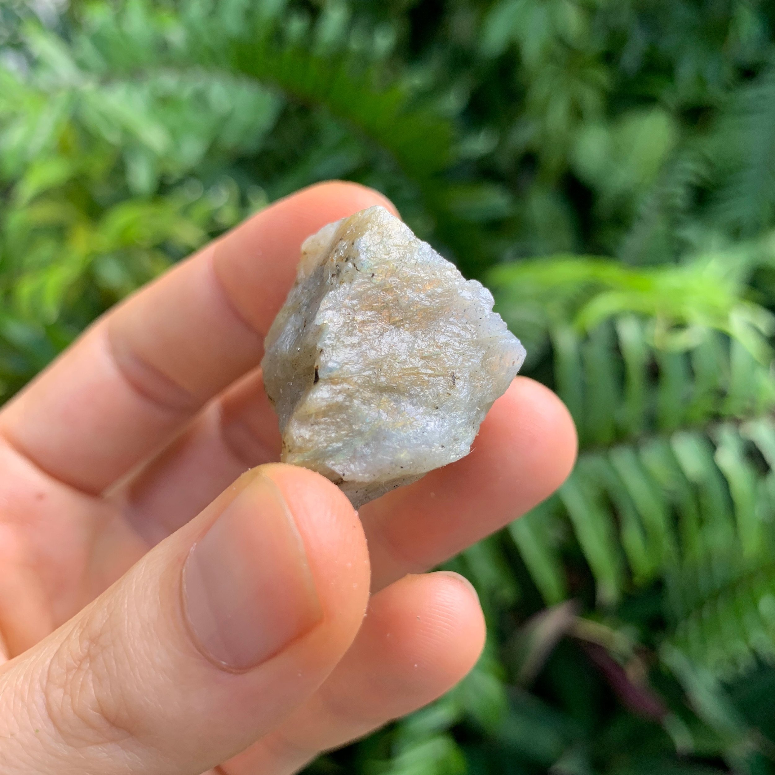 Labradorite (Orange/Gold Predominant) Raw Stones (1-2 Inch - A Grade - 12-20 Pieces Per Pound) Ethically Sourced from Madagascar - Beyond Bohemian