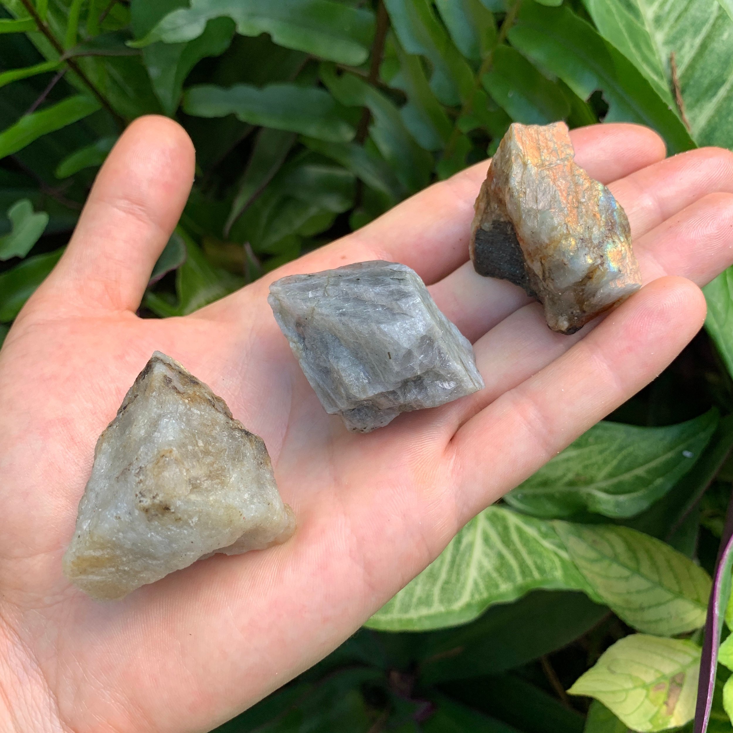 Labradorite (Orange/Gold Predominant) Raw Stones (1-2 Inch - A Grade - 12-20 Pieces Per Pound) Ethically Sourced from Madagascar - Beyond Bohemian