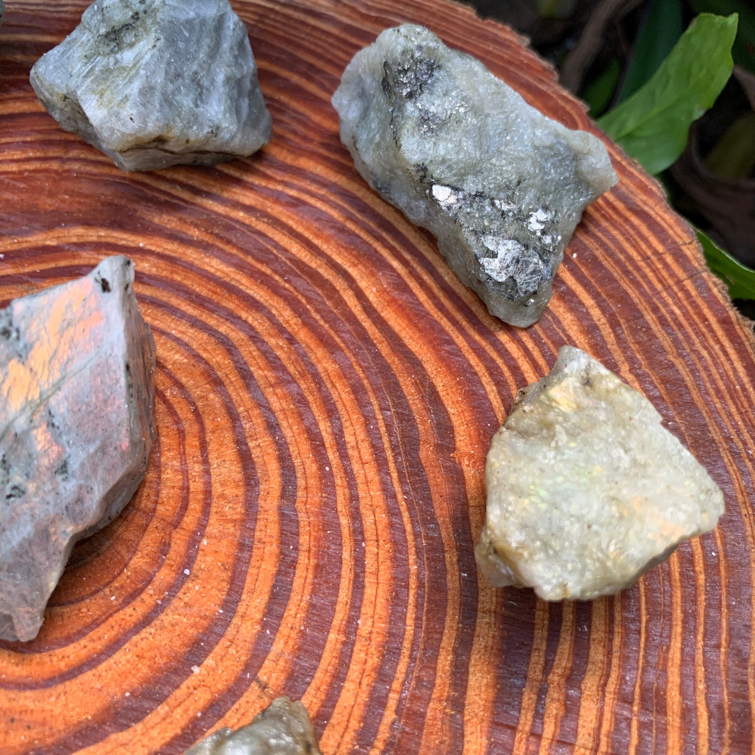 Labradorite (Orange/Gold Predominant) Raw Stones (1-2 Inch - A Grade - 12-20 Pieces Per Pound) Ethically Sourced from Madagascar - Beyond Bohemian