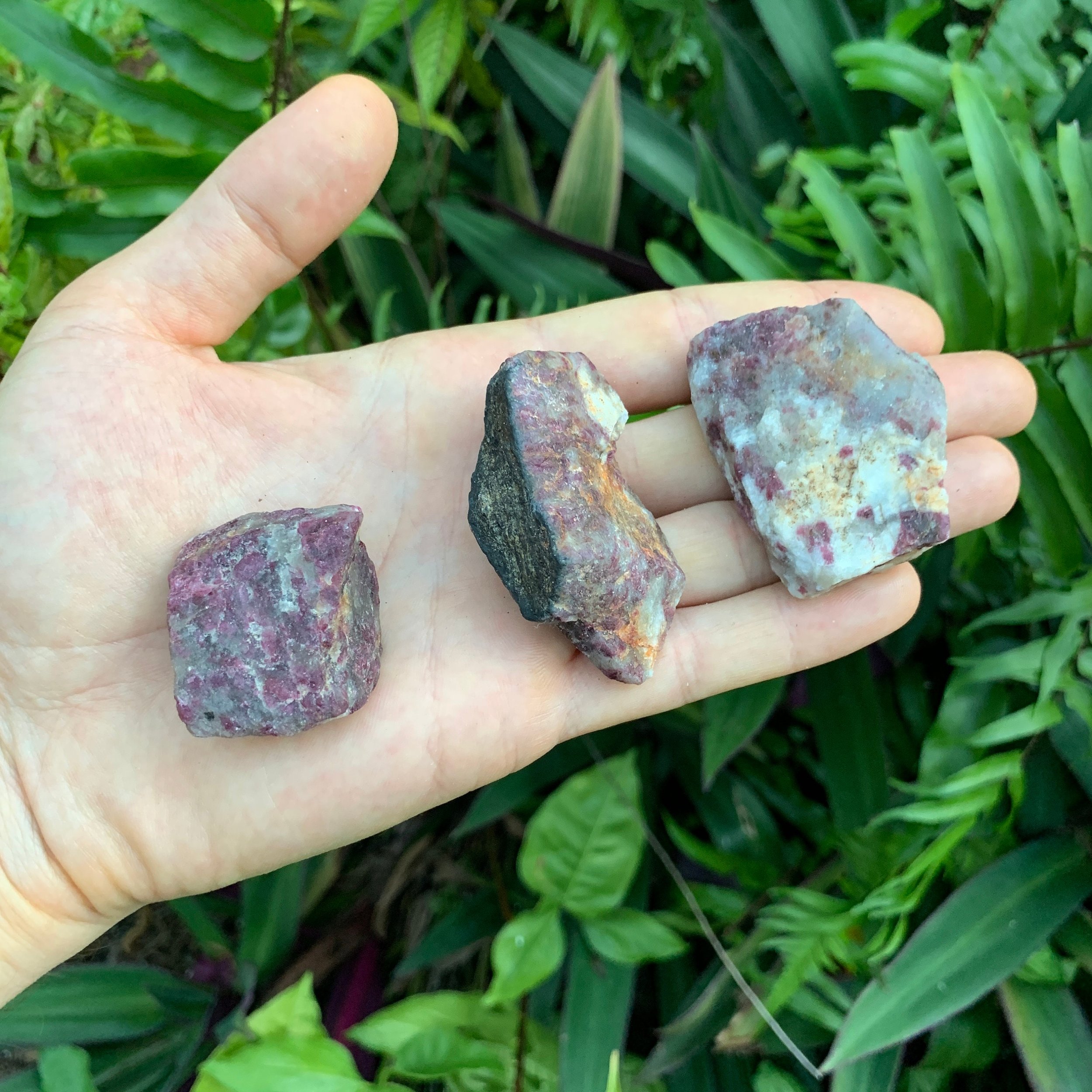 Pink Tourmaline Raw Stones (1-2 Inch - AA Grade - 8-12 Pieces Per Pound) Ethically Sourced from Madagascar - Beyond Bohemian