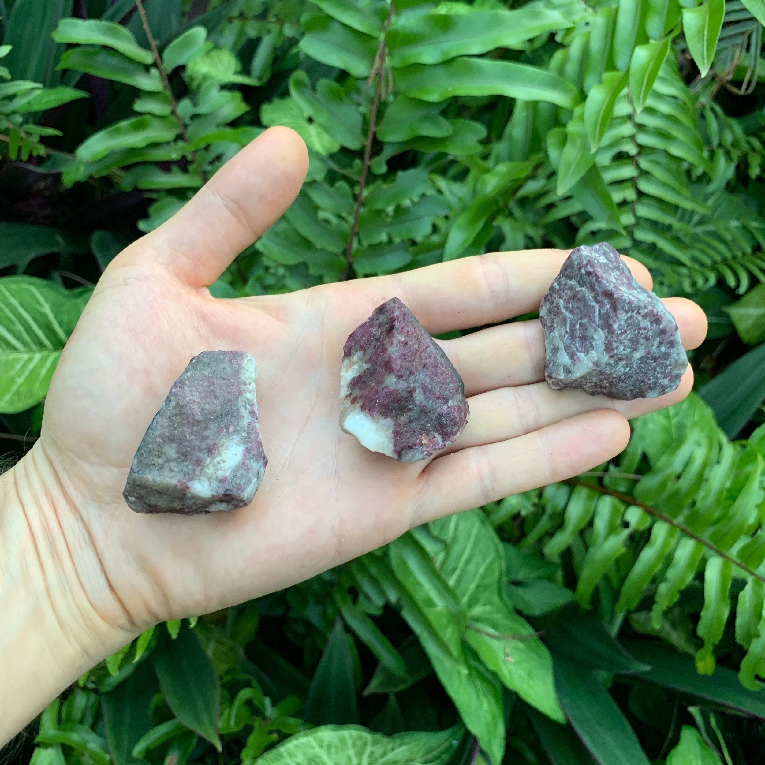 Pink Tourmaline Raw Stones (1-2 Inch - AA Grade - 8-12 Pieces Per Pound) Ethically Sourced from Madagascar - Beyond Bohemian