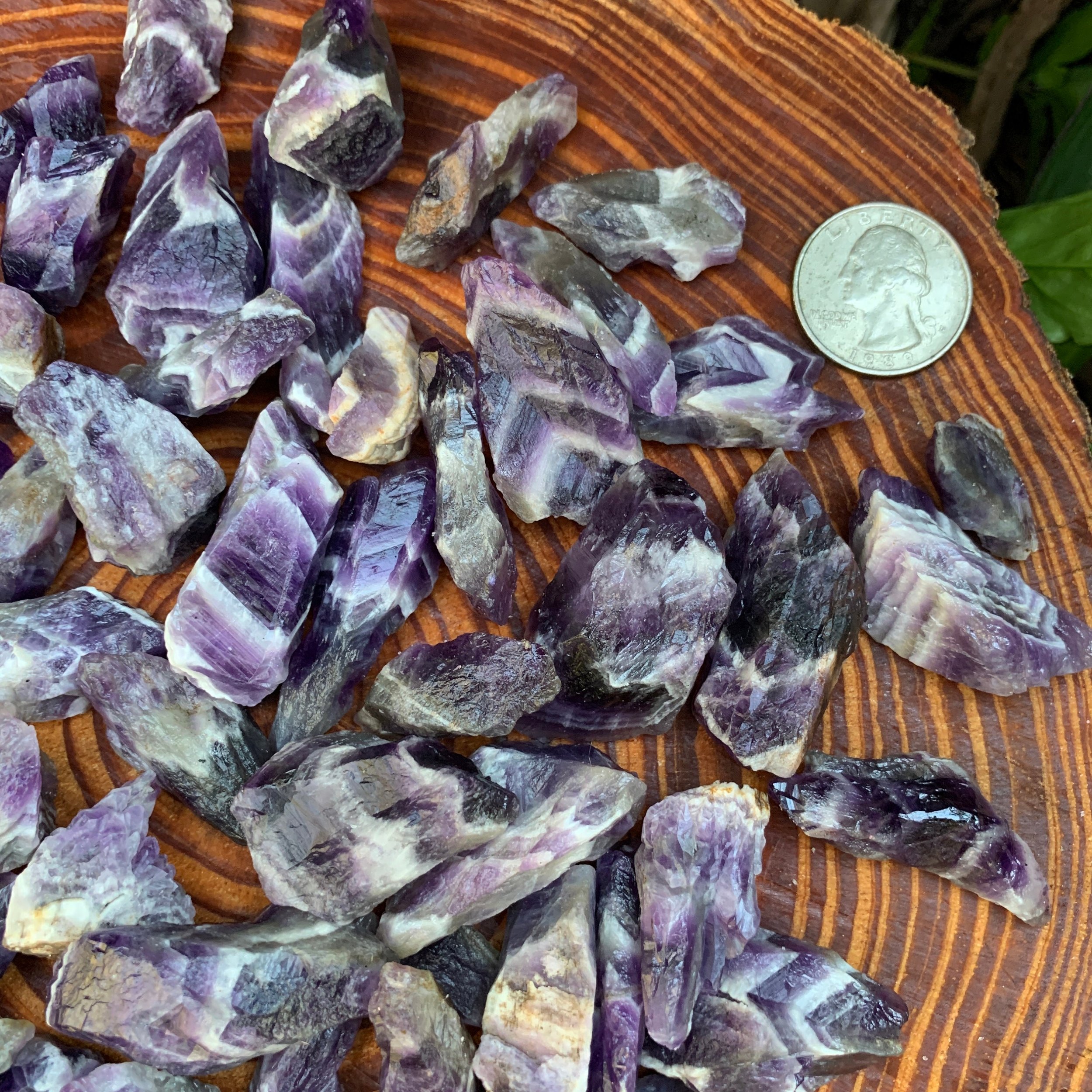 Chevron Amethyst Raw Crystals (0.50-1.50 Inch - AA Grade - 32-64 Pieces Per Pound) Ethically Sourced from Zambia - Beyond Bohemian