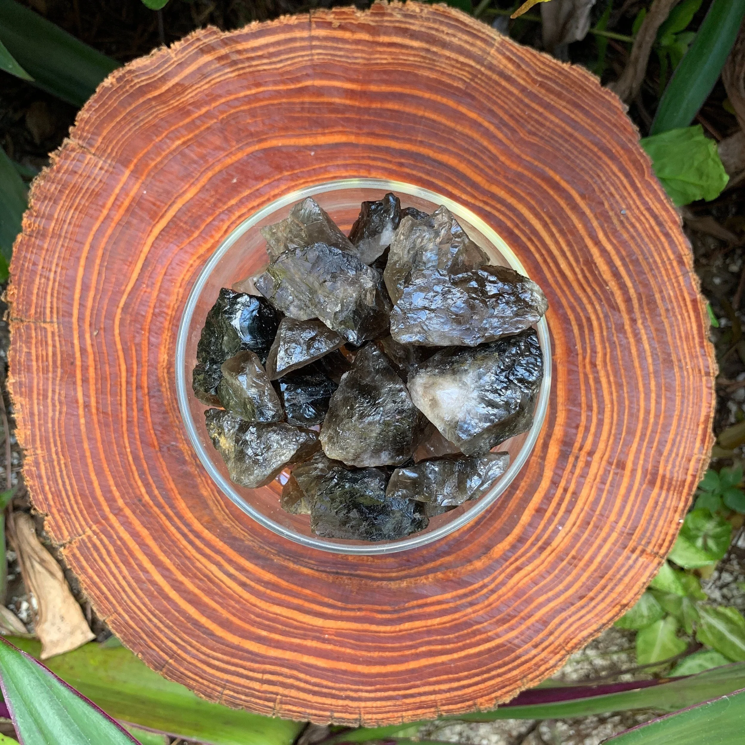 Smoky Quartz Raw Crystals (0.50-1.50 Inch - AA Grade - 32-64 Pieces Per Pound) Ethically Sourced from Madagascar - Beyond Bohemian