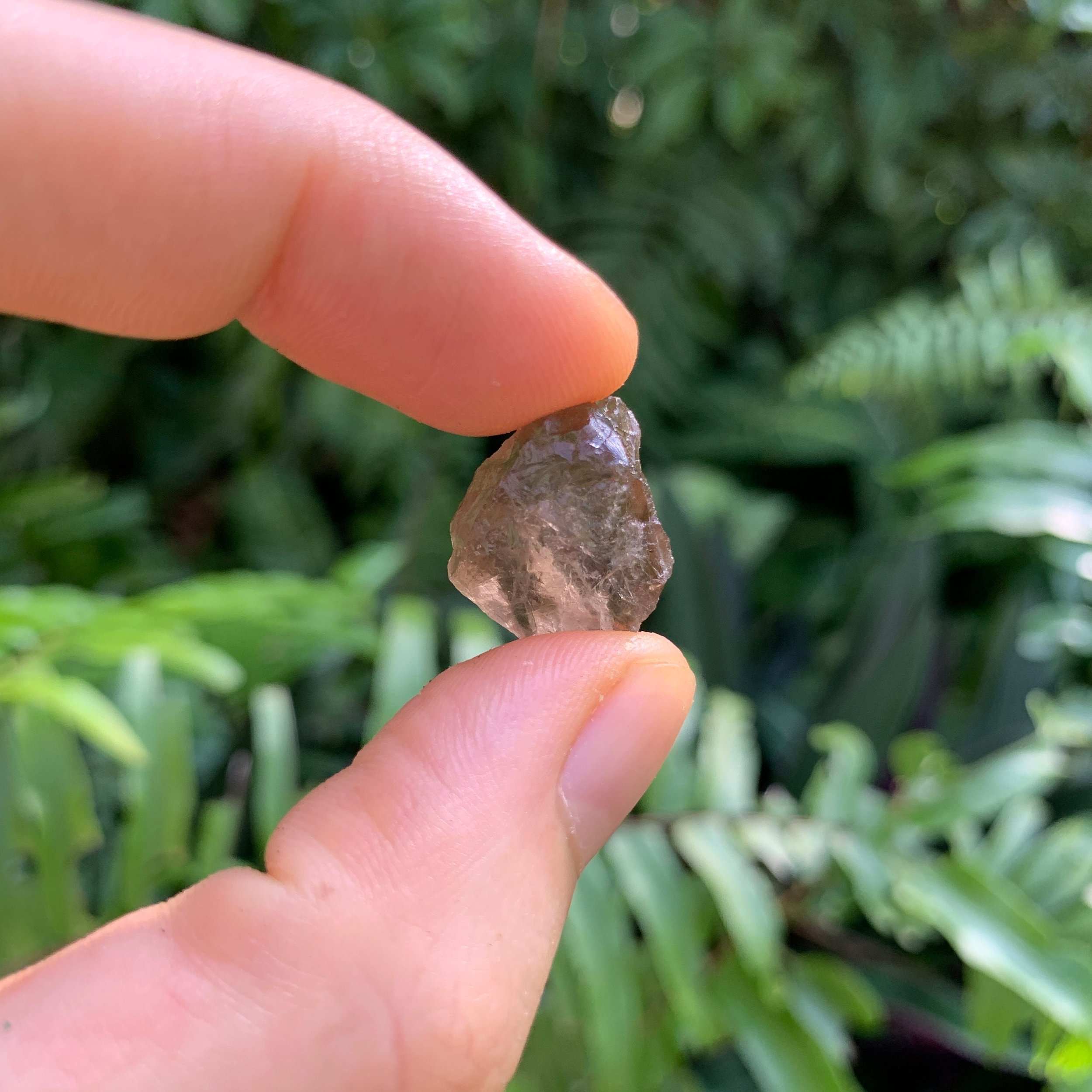Smoky Quartz Raw Crystals (0.50-1.50 Inch - AA Grade - 32-64 Pieces Per Pound) Ethically Sourced from Madagascar - Beyond Bohemian