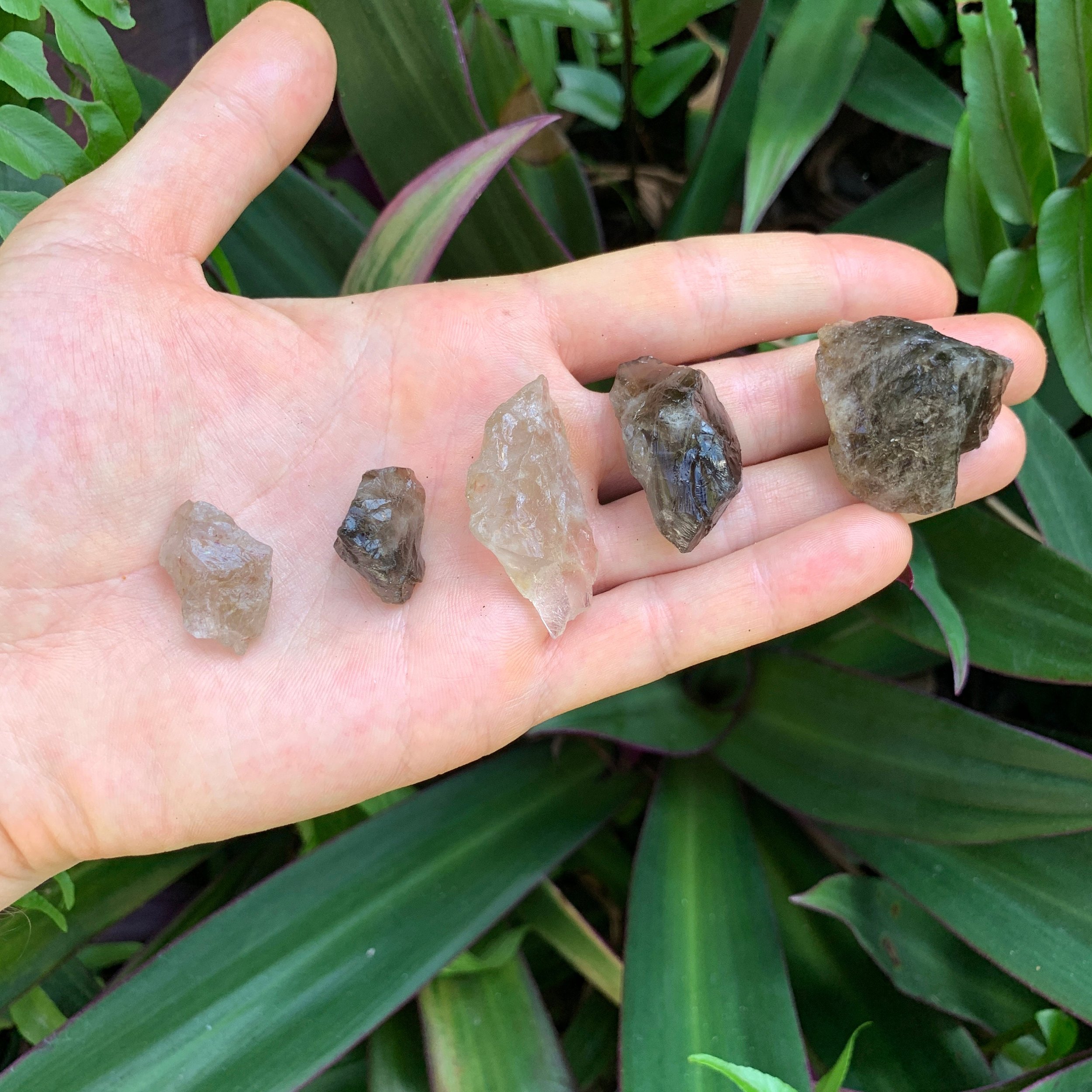 Smoky Quartz Raw Crystals (0.50-1.50 Inch - AA Grade - 32-64 Pieces Per Pound) Ethically Sourced from Madagascar - Beyond Bohemian