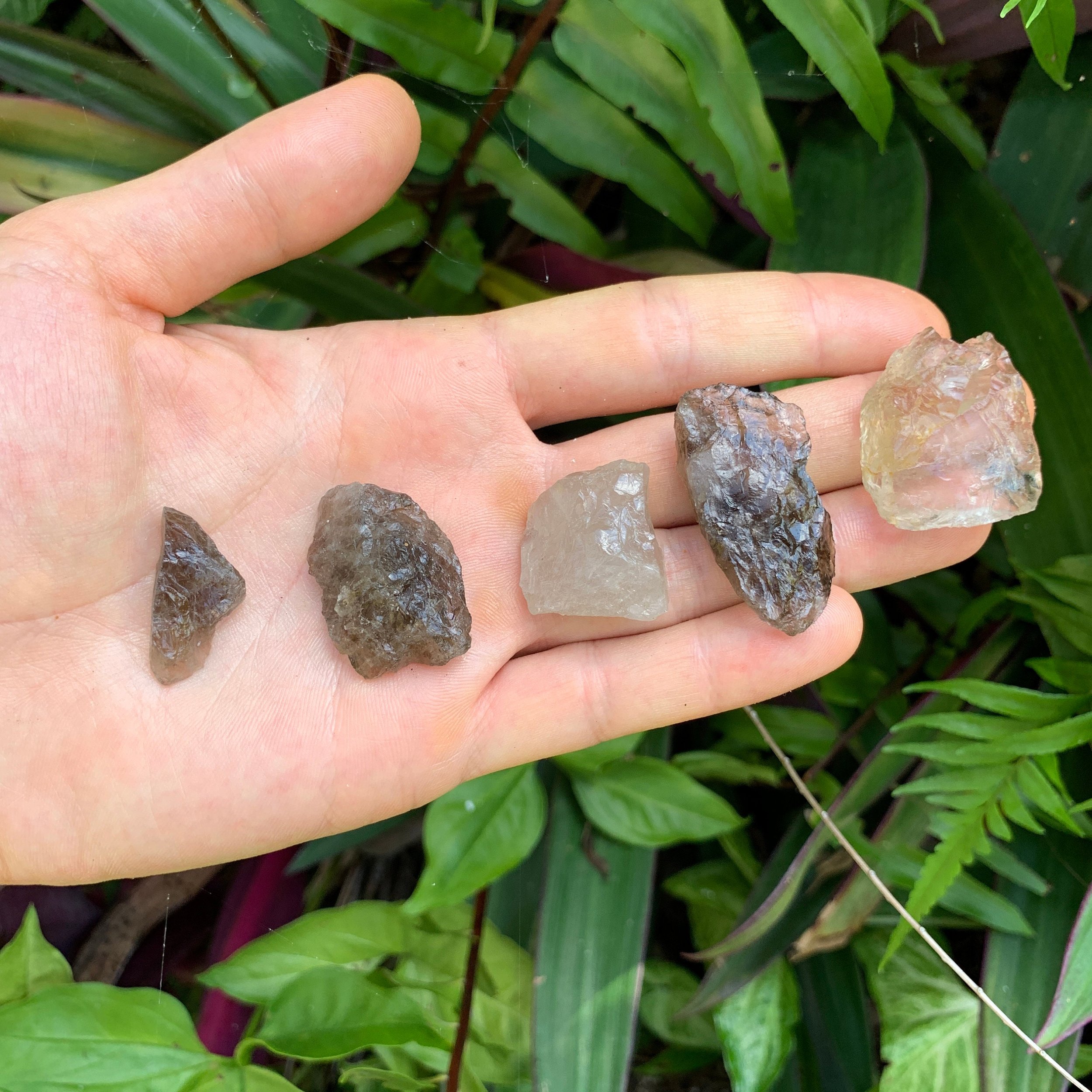Smoky Quartz Raw Crystals (0.50-1.50 Inch - AA Grade - 32-64 Pieces Per Pound) Ethically Sourced from Madagascar - Beyond Bohemian
